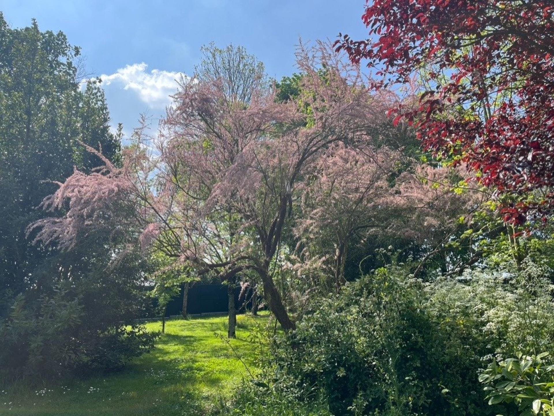 Photo 15 de l'annonce.