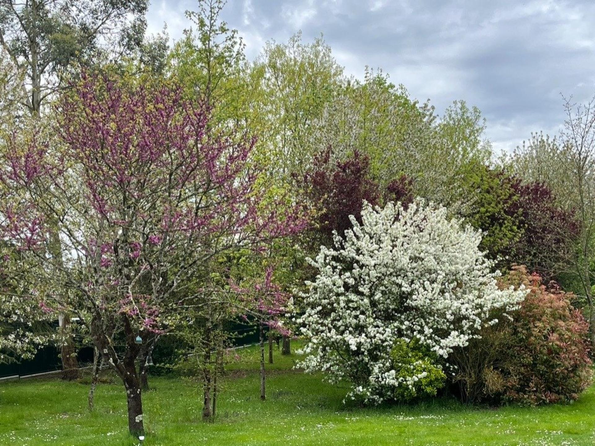 Photo 10 de l'annonce.