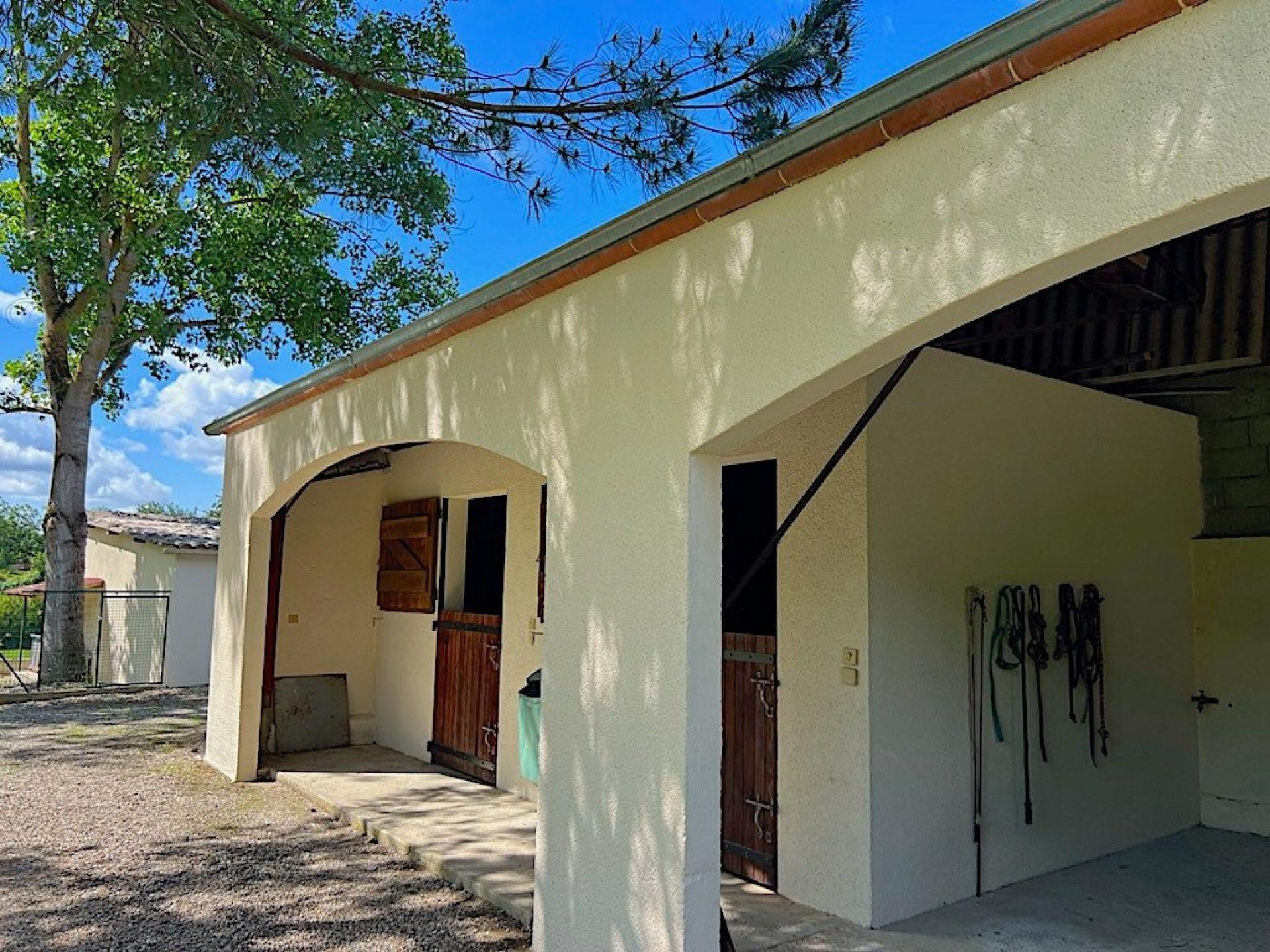 Photo 18 de l'annonce.