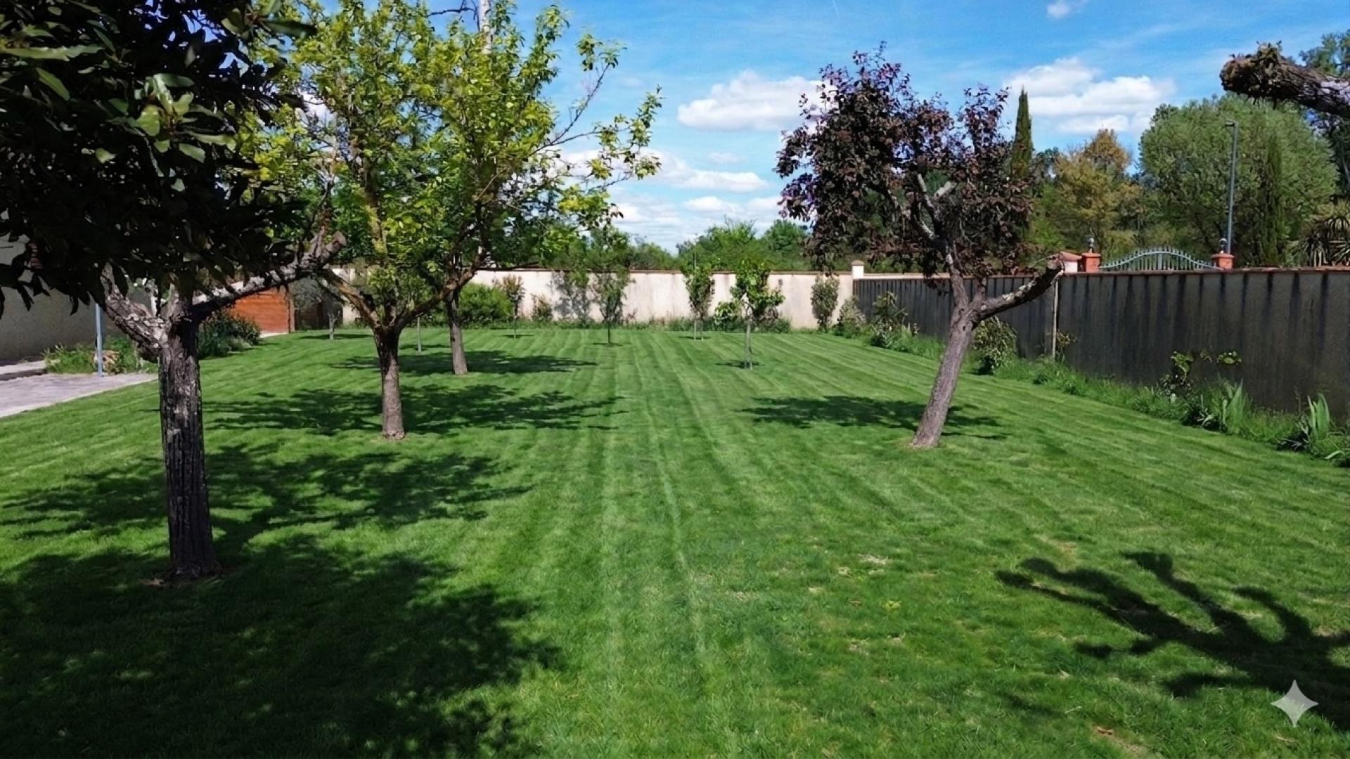 Photo 11 de l'annonce.