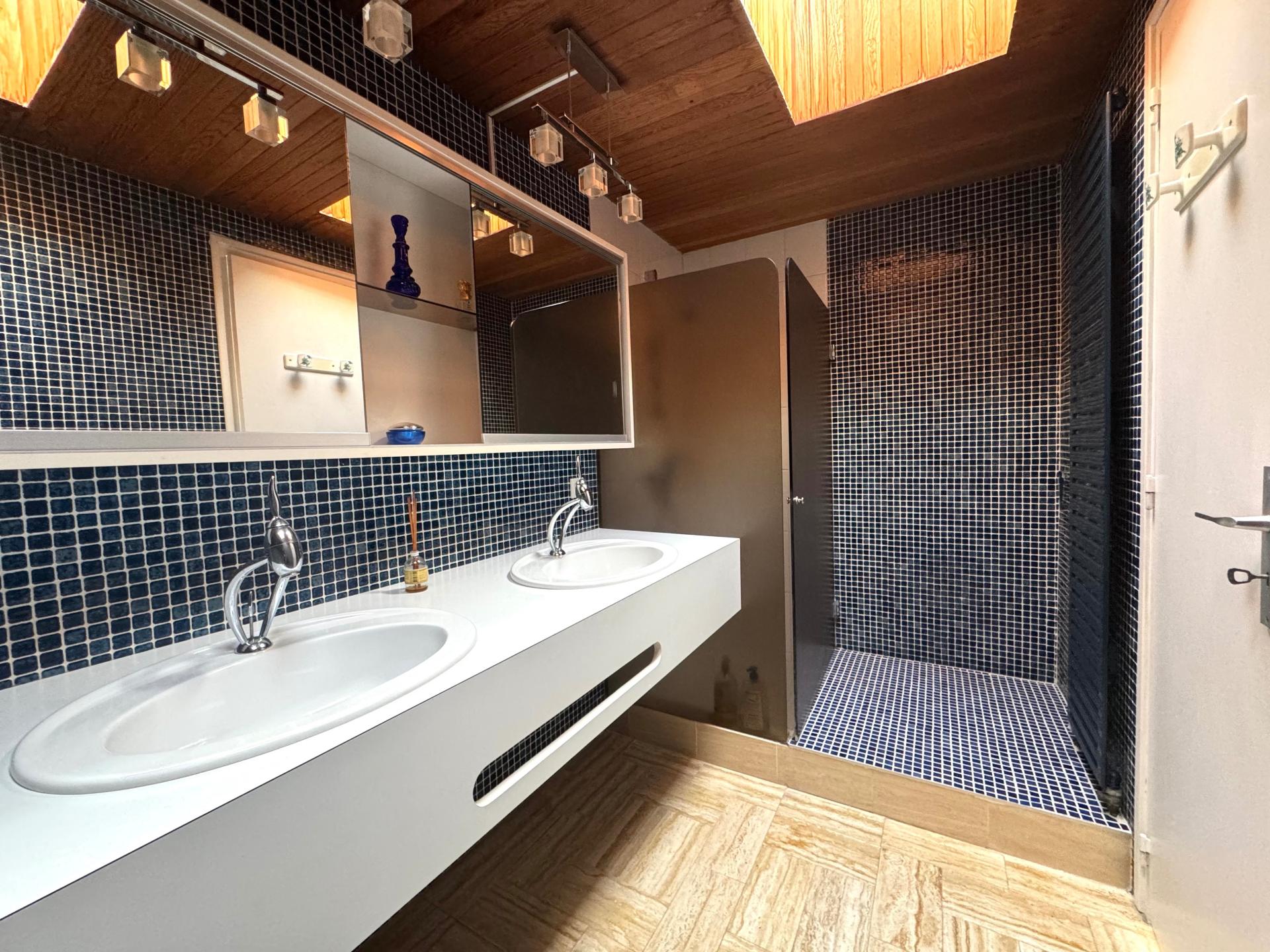 Photo 12 de l'annonce.