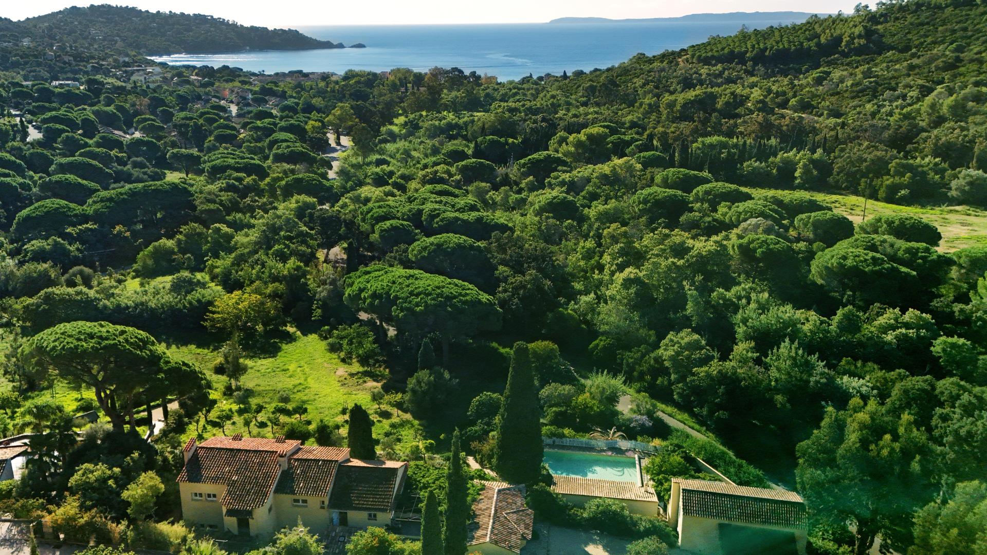 Photo 3 de l'annonce.