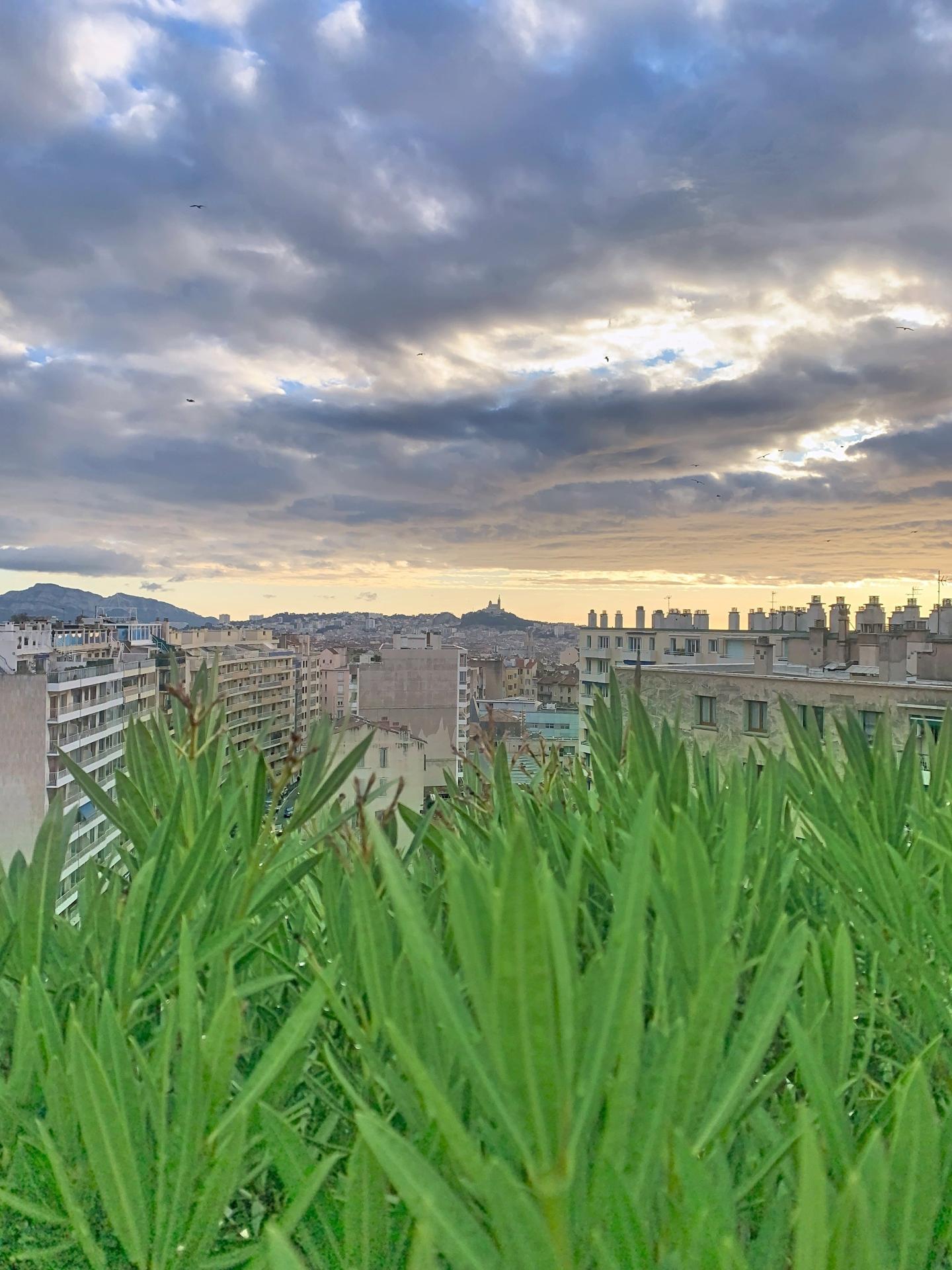 Photo 4 de l'annonce.