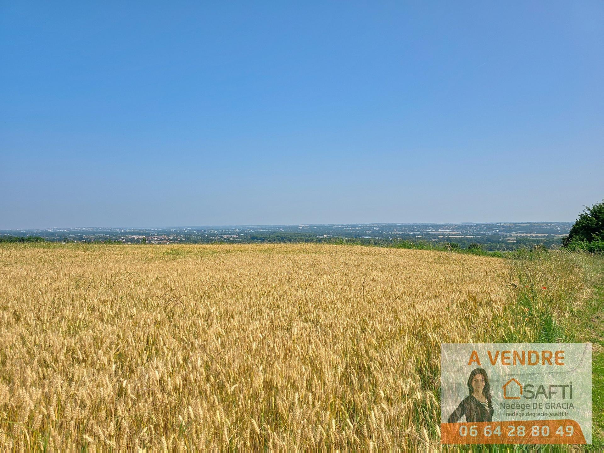 Photo 21 de l'annonce.