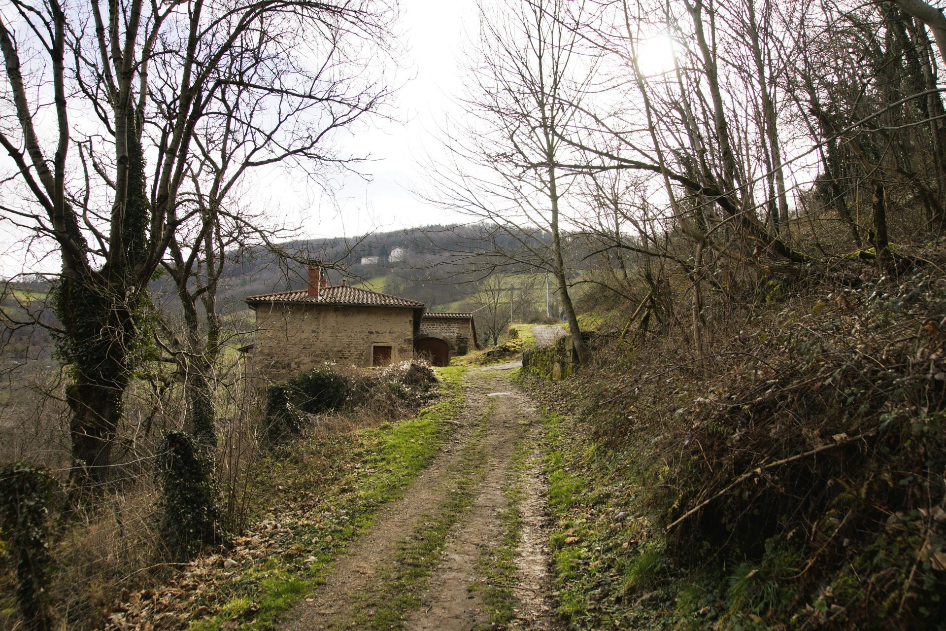 Photo 2 de l'annonce.