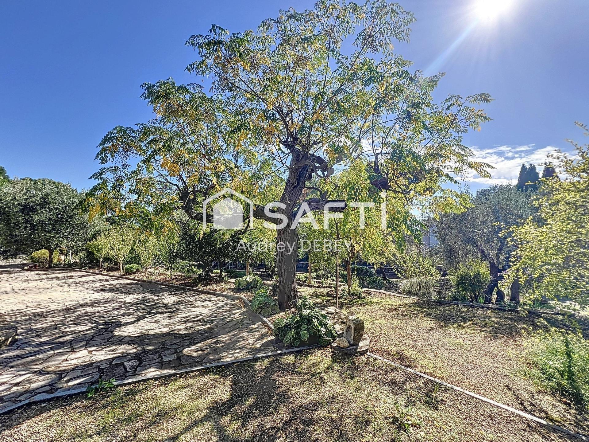 Photo 6 de l'annonce.