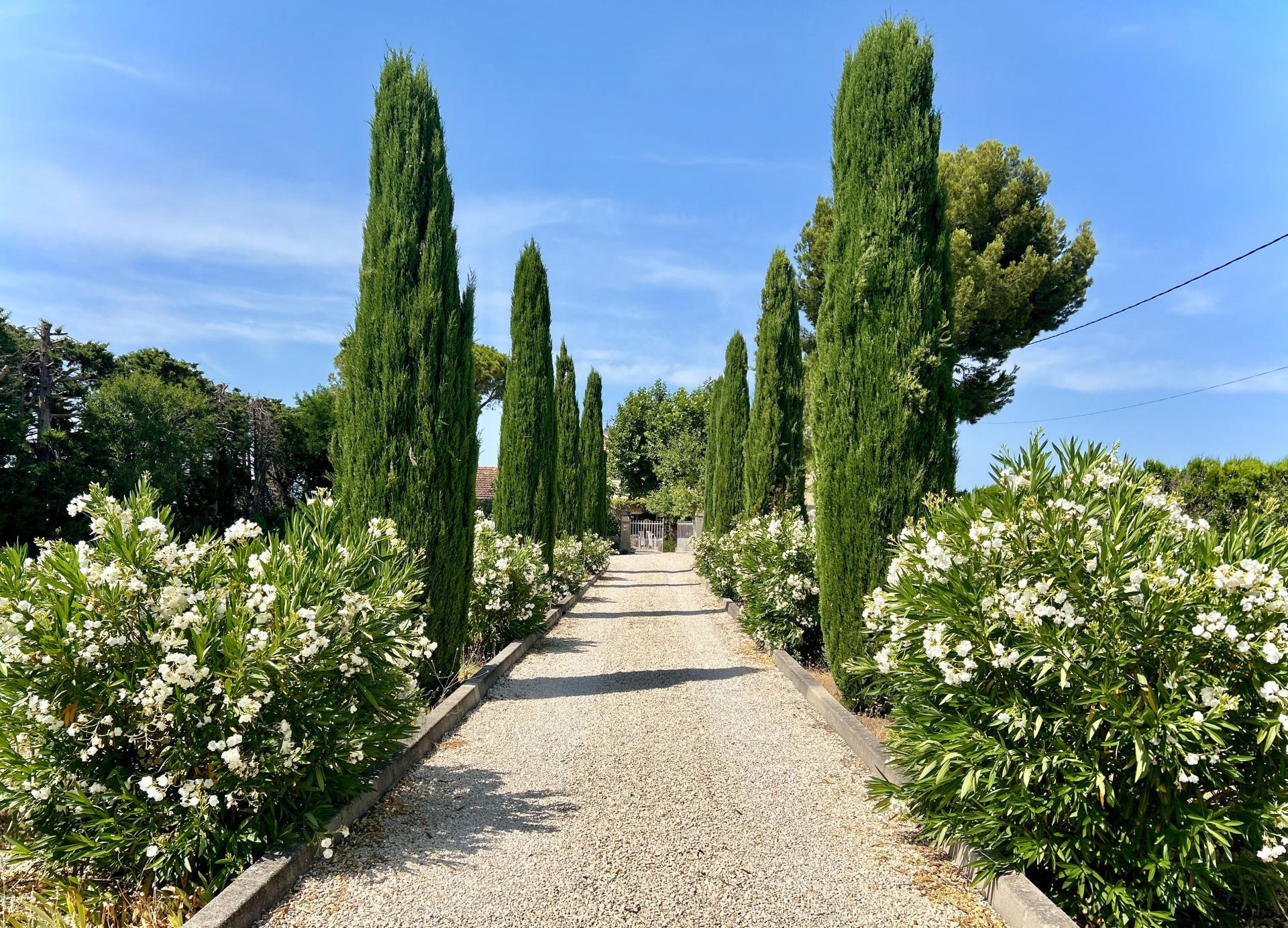 Foto 14 del anuncio.