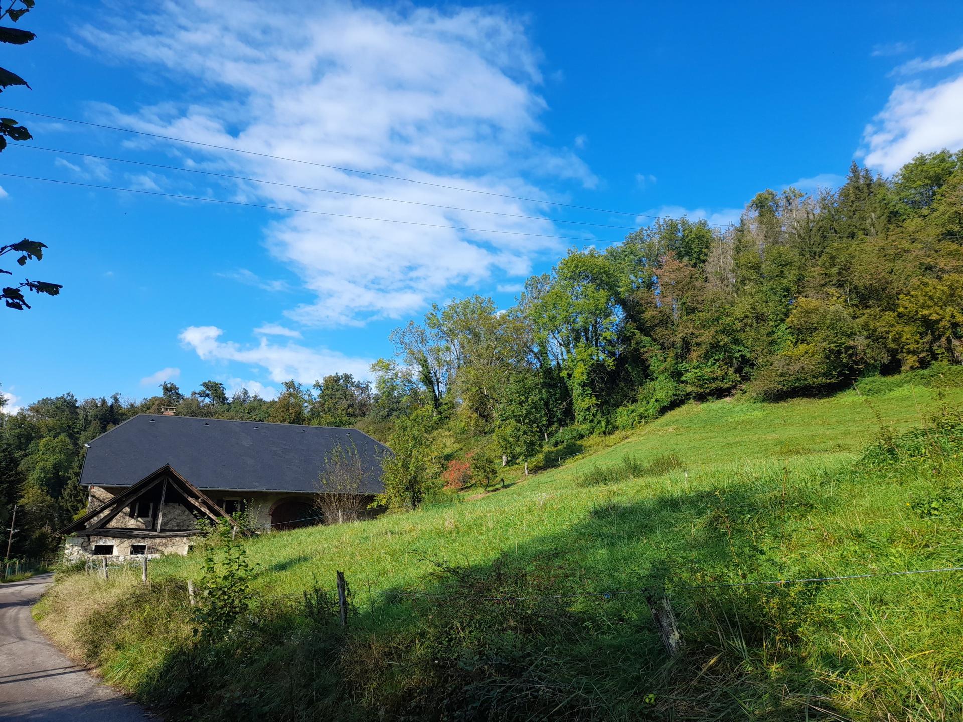 Photo 5 de l'annonce.