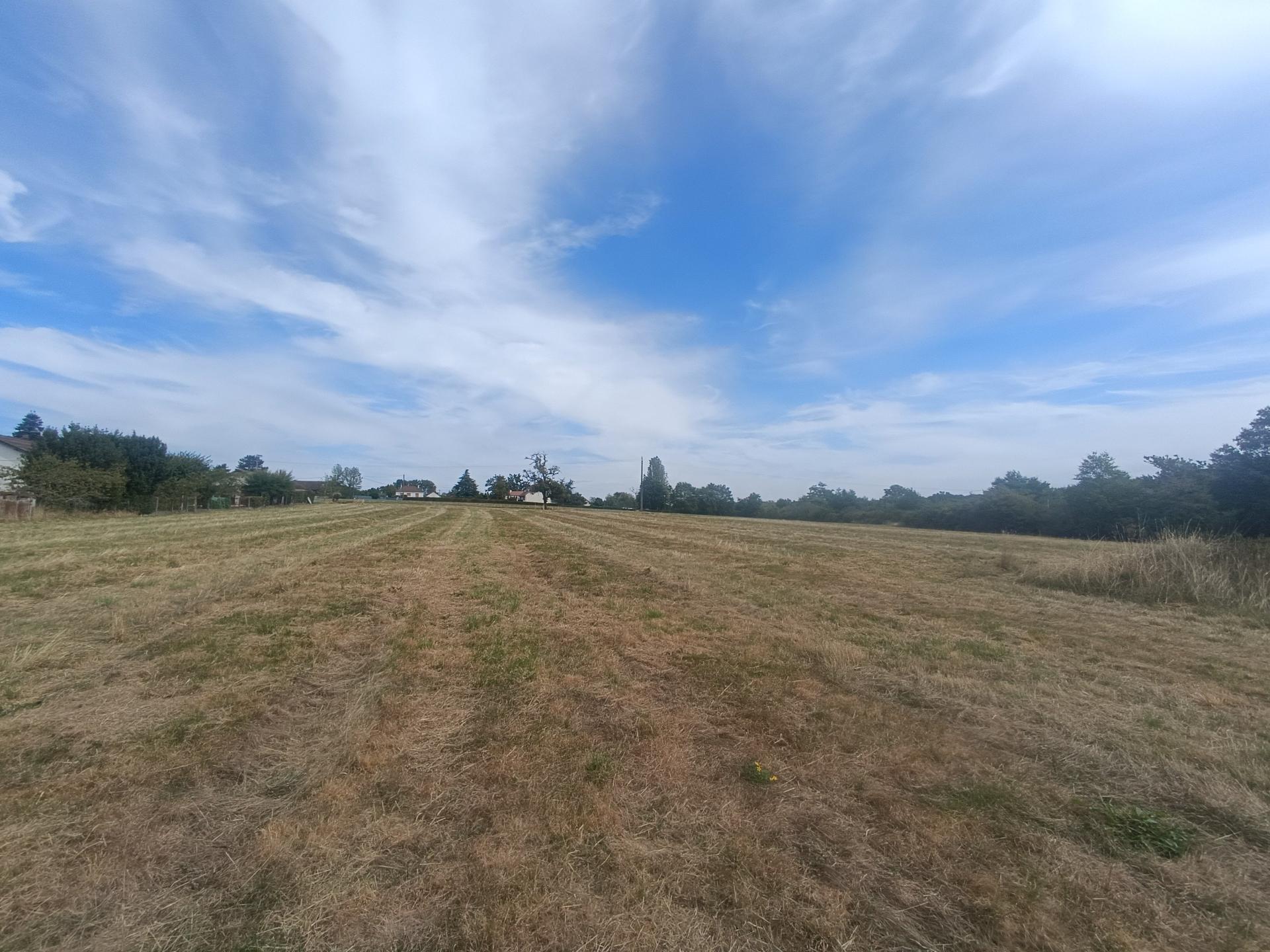 Photo-terrain