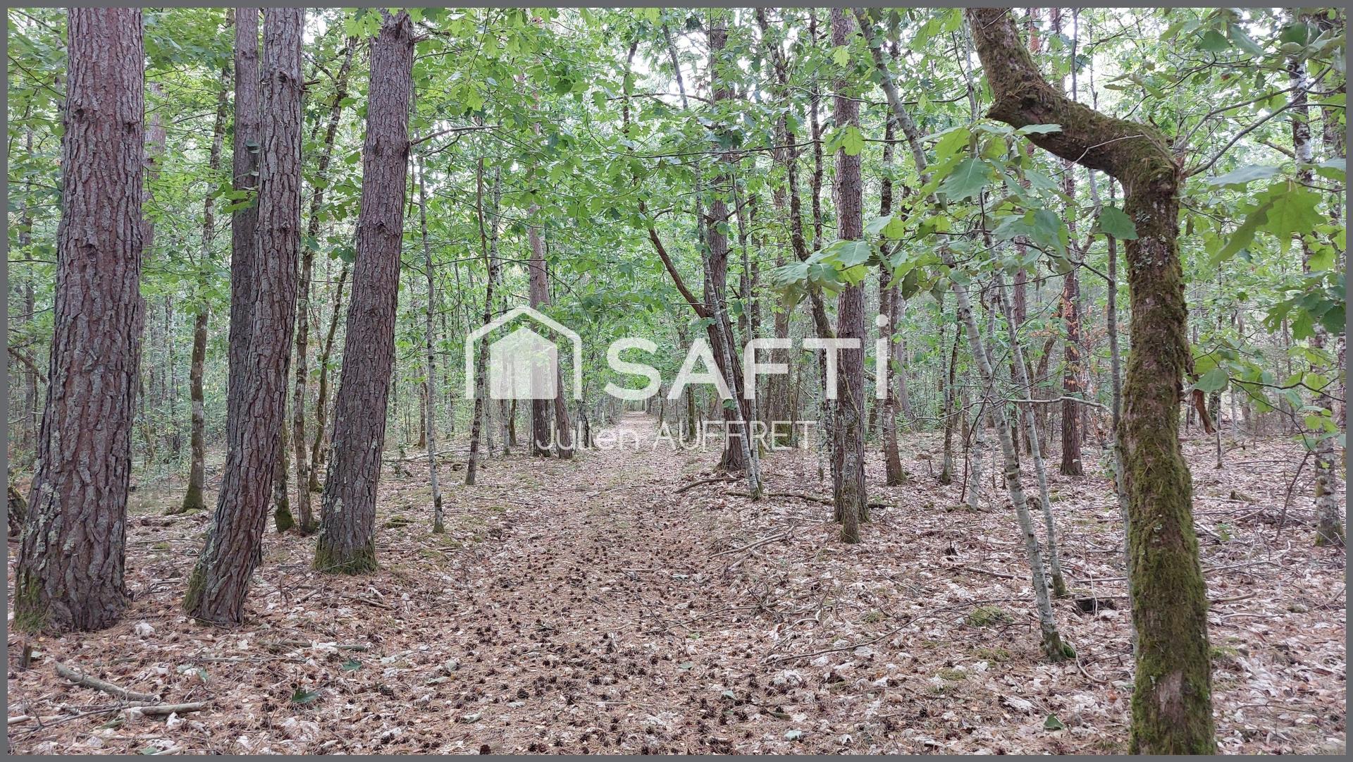 Photo SAFTI — Maison 11 pièces, 282 m² à Souesmes 3