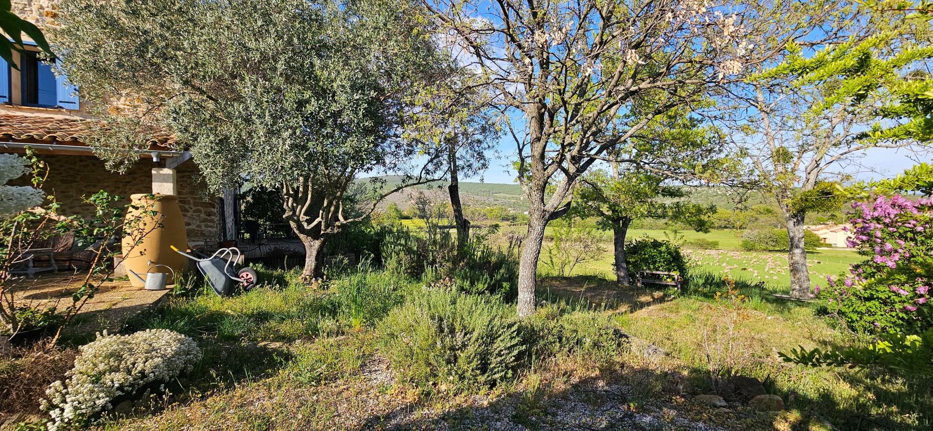 Photo 6 de l'annonce.