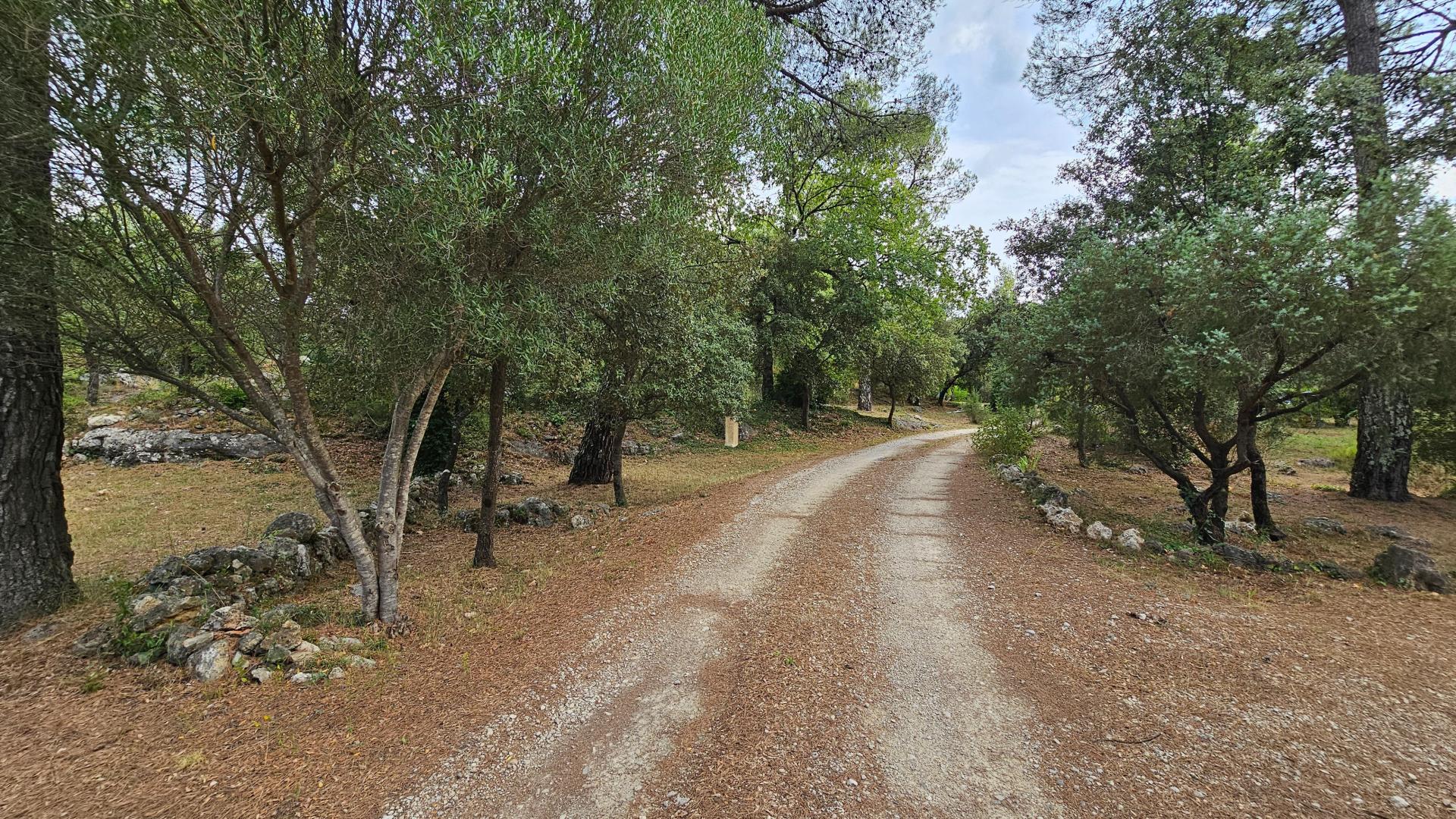 Photo 6 de l'annonce.