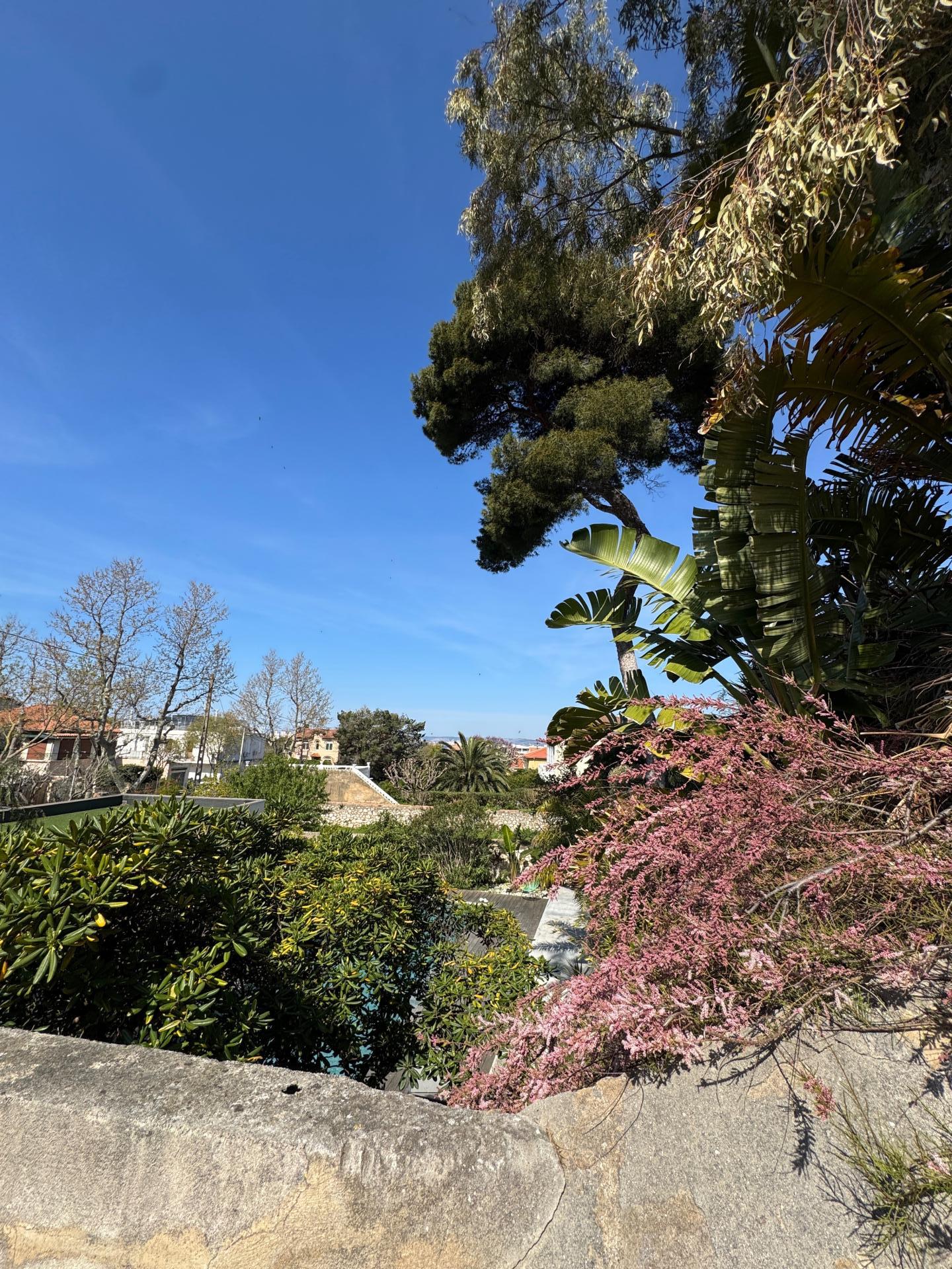 Photo 14 de l'annonce.