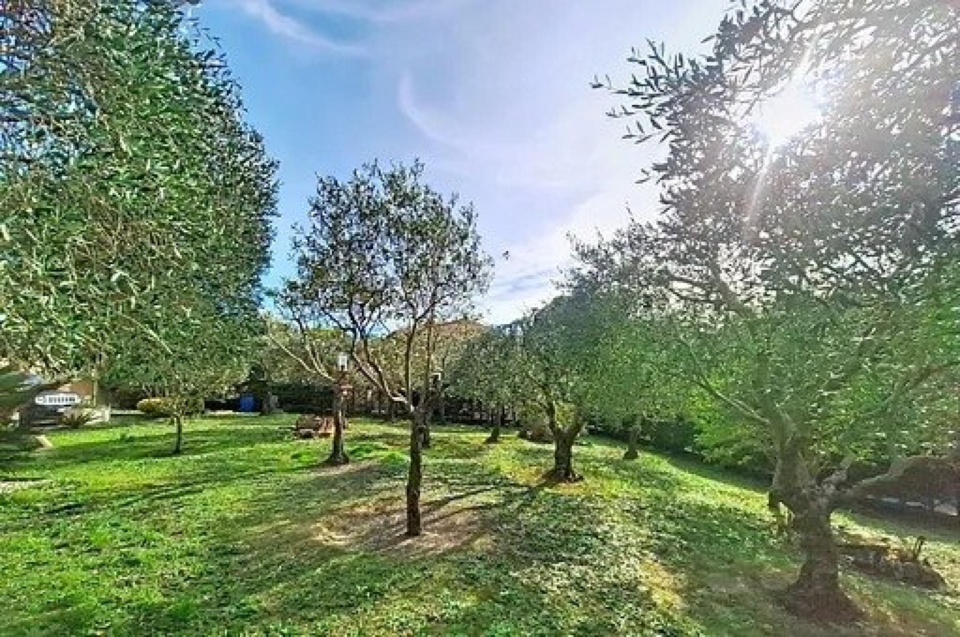 Photo 14 de l'annonce.