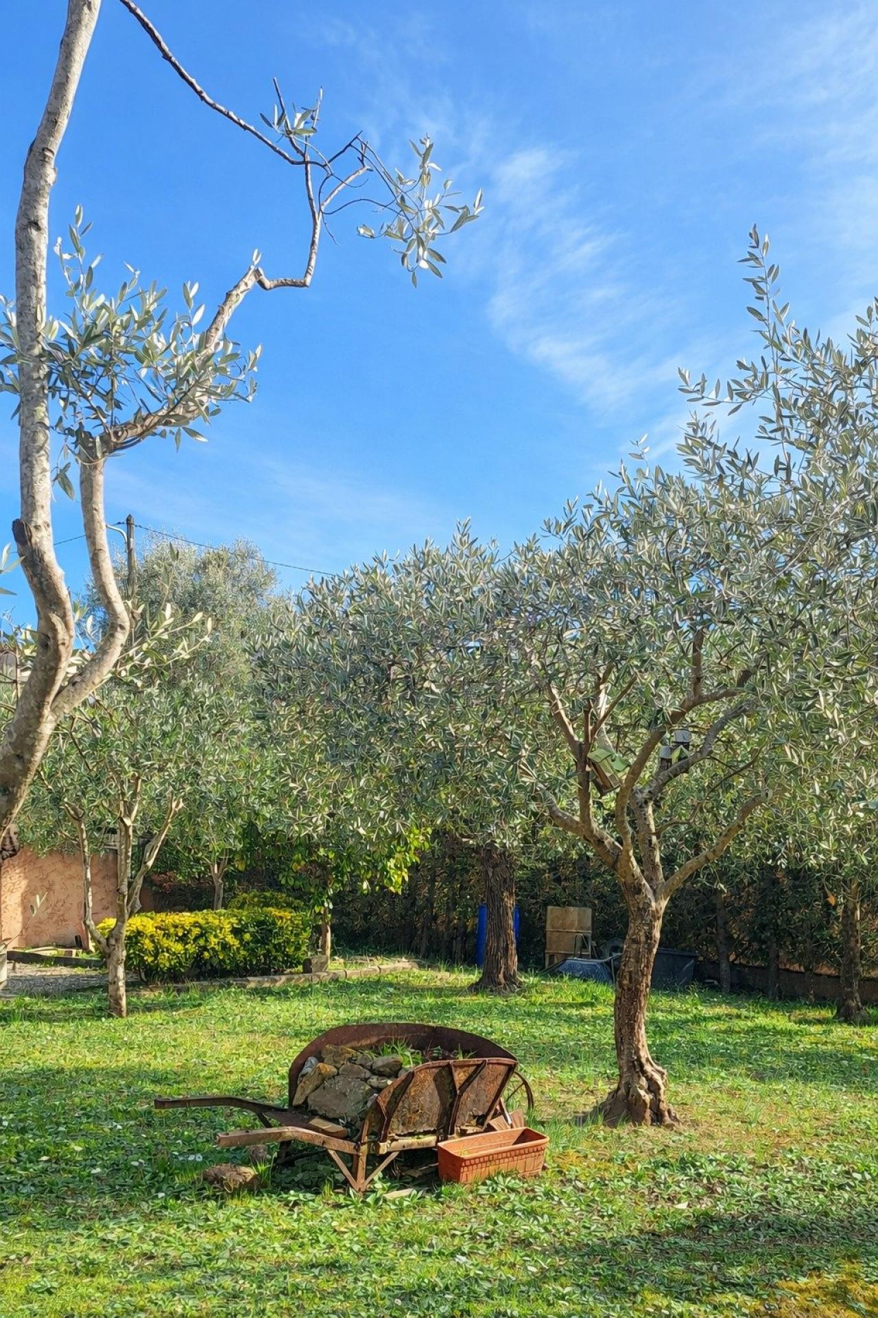 Photo 15 de l'annonce.