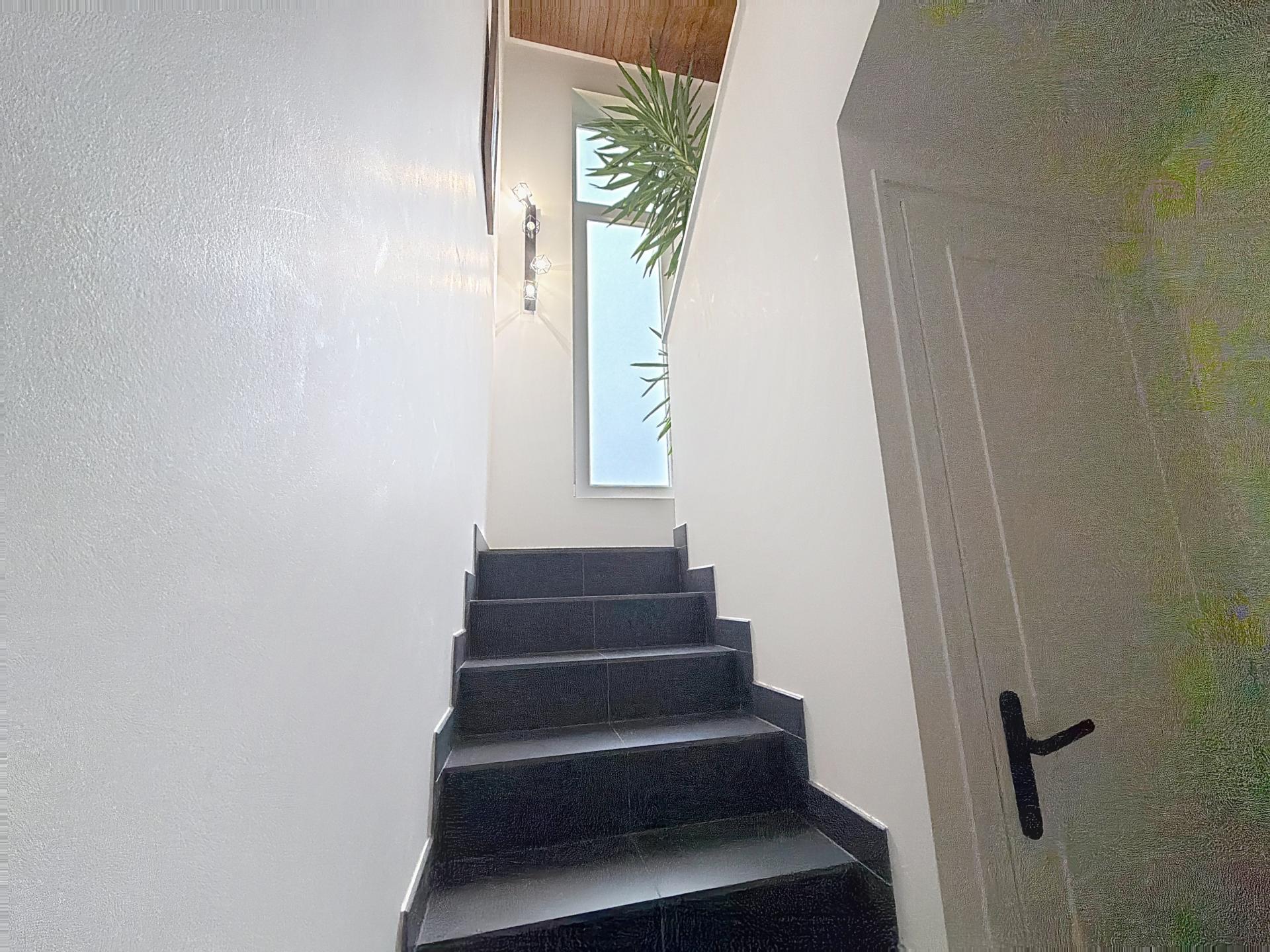 Photo 12 de l'annonce.