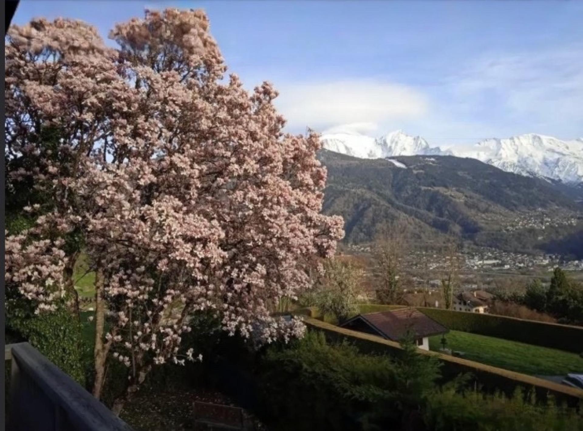 Photo 20 de l'annonce.