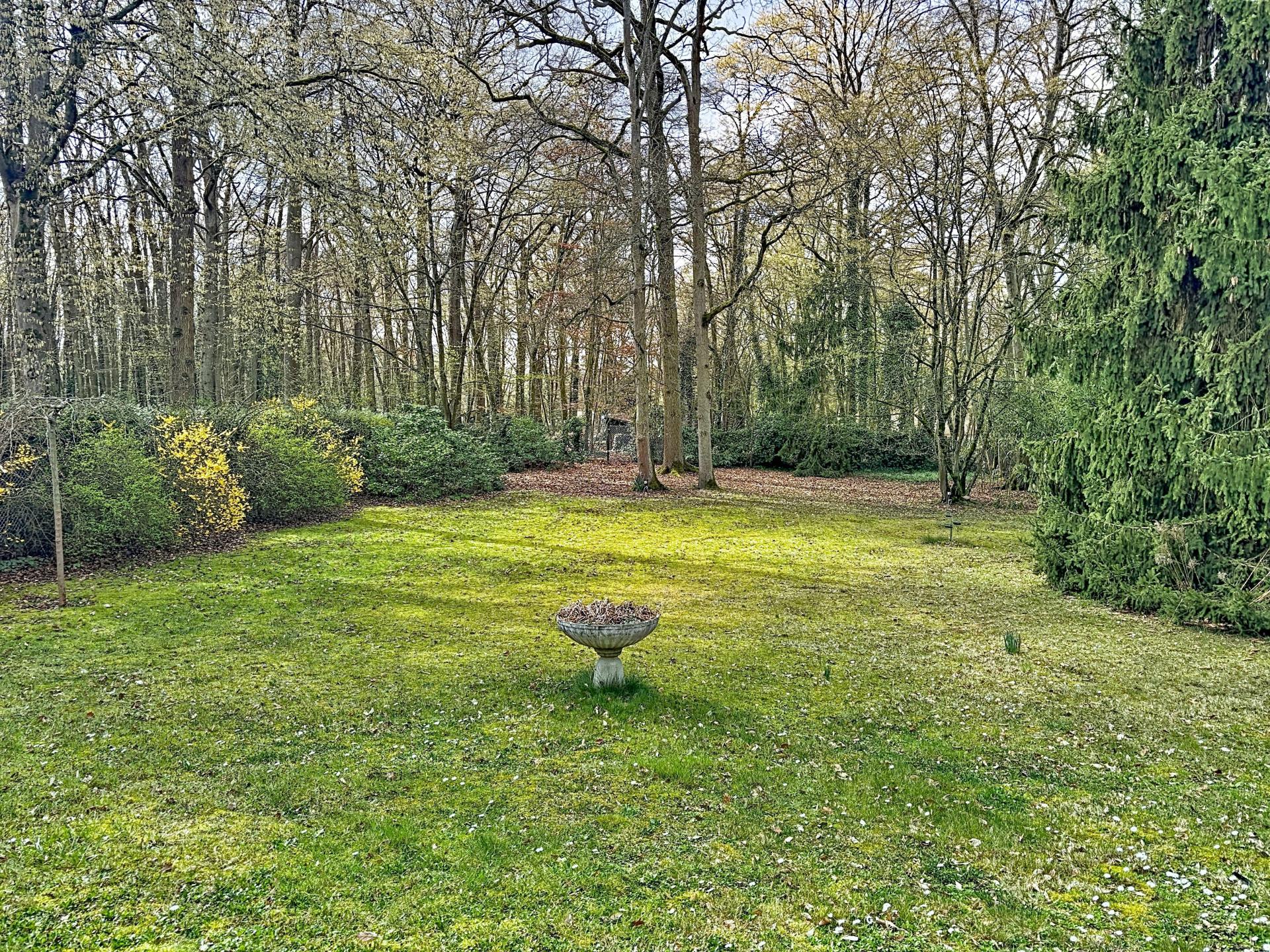 Photo 11 of the listing.