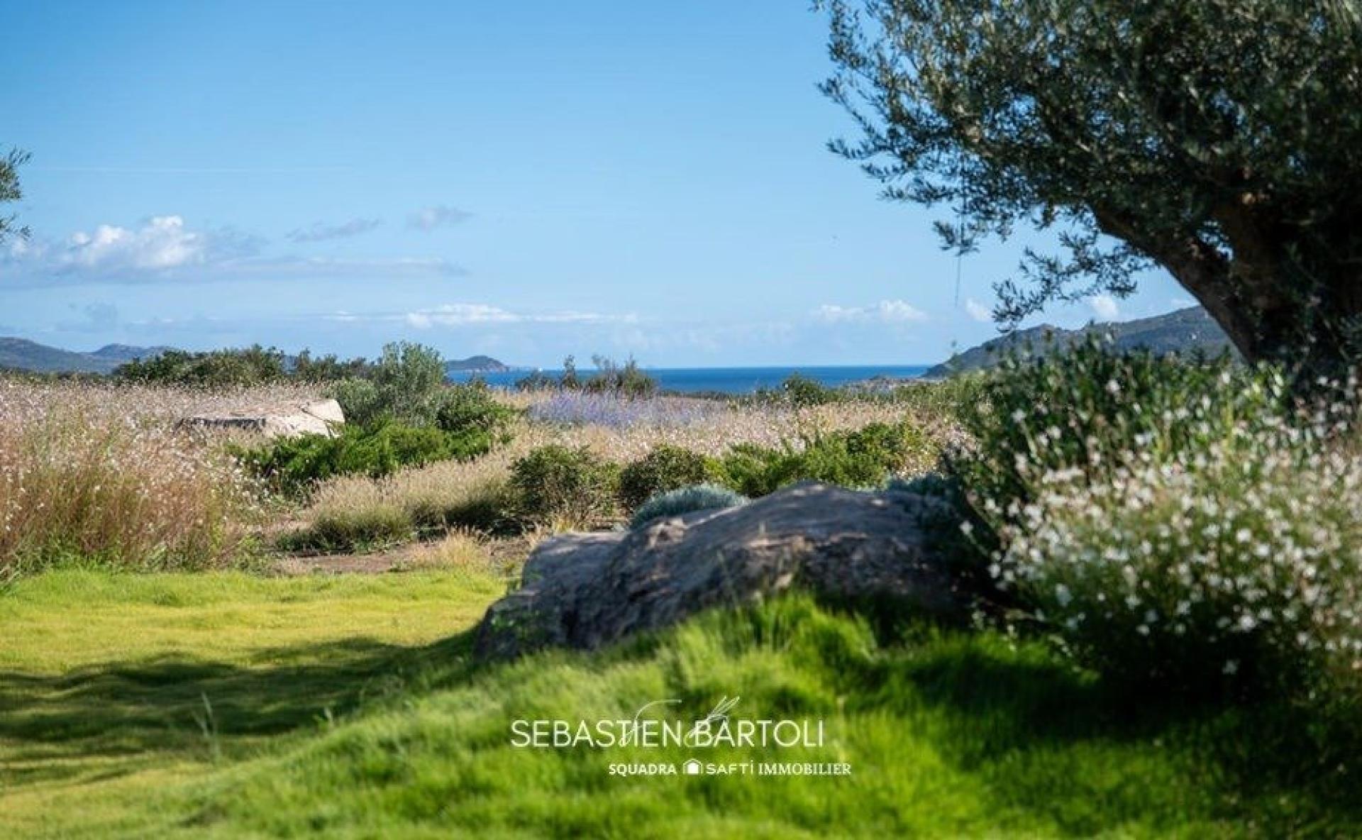 Photo 10 de l'annonce.