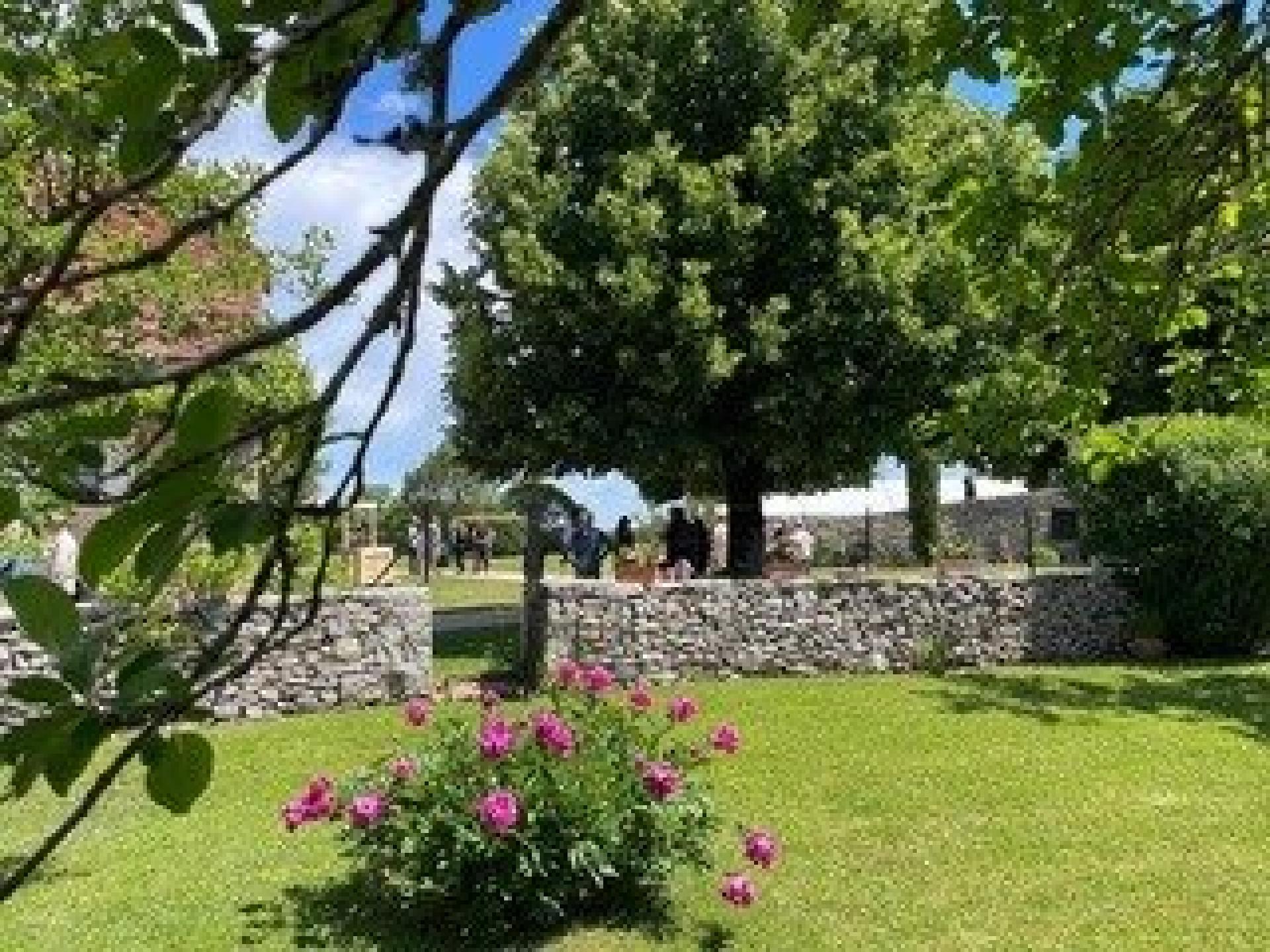 Photo 4 de l'annonce.