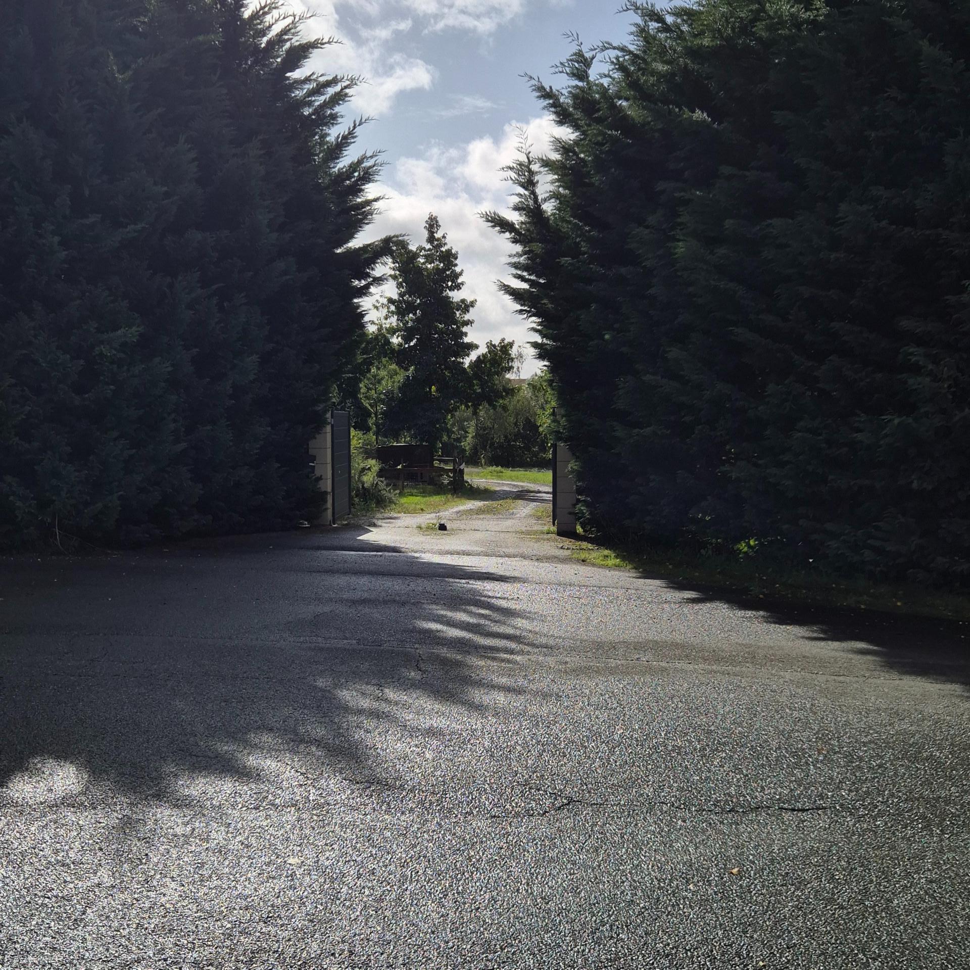 Photo 4 de l'annonce.