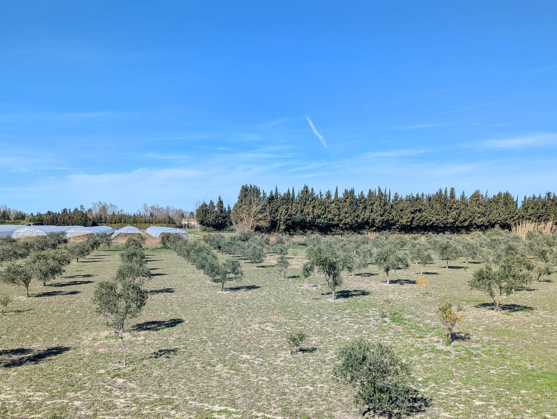 Foto 21 del anuncio.