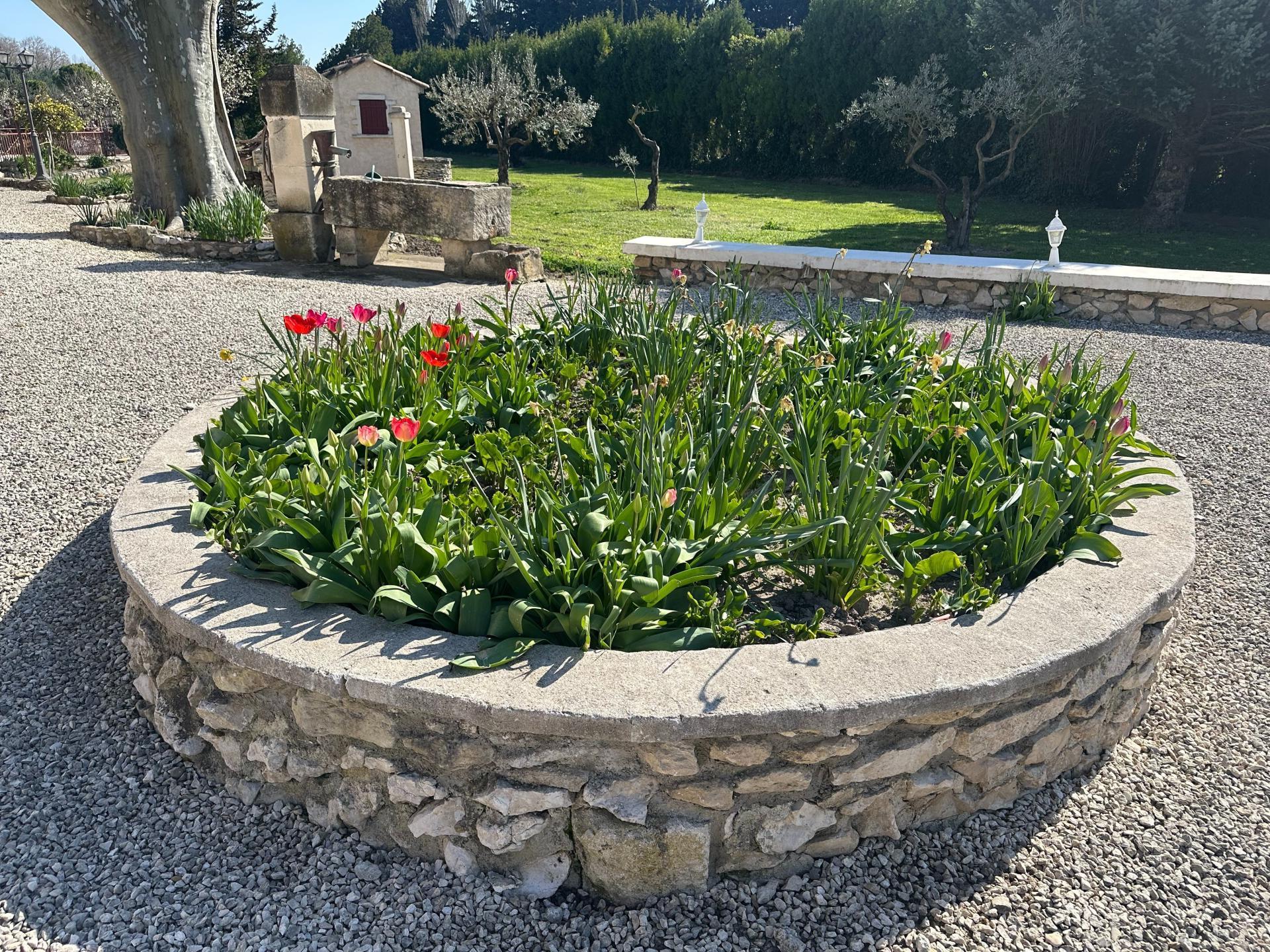 Photo 10 de l'annonce.