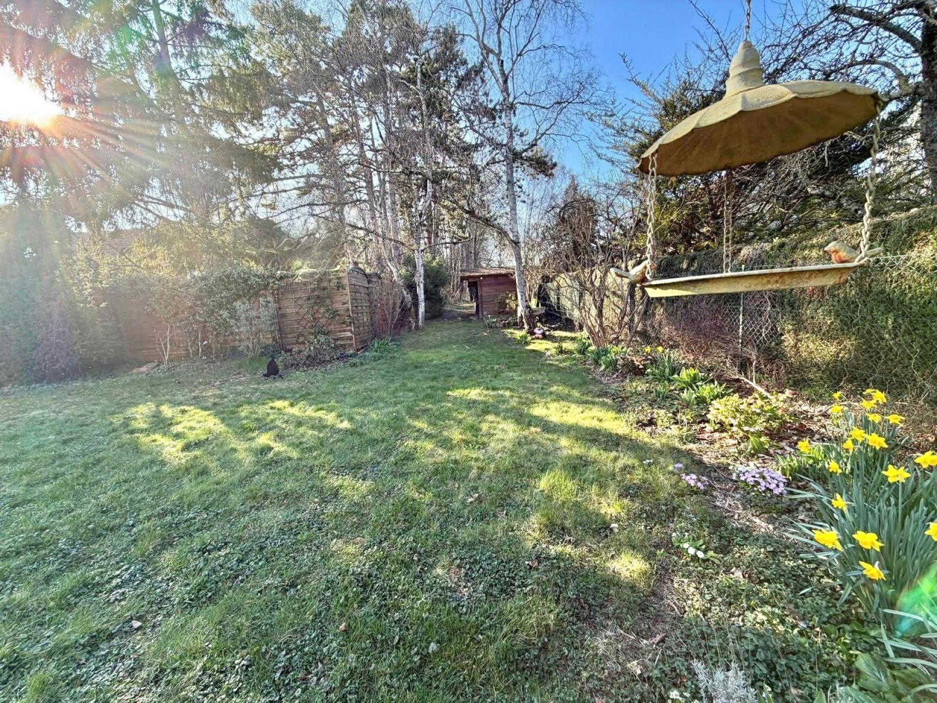 Photo 11 de l'annonce.