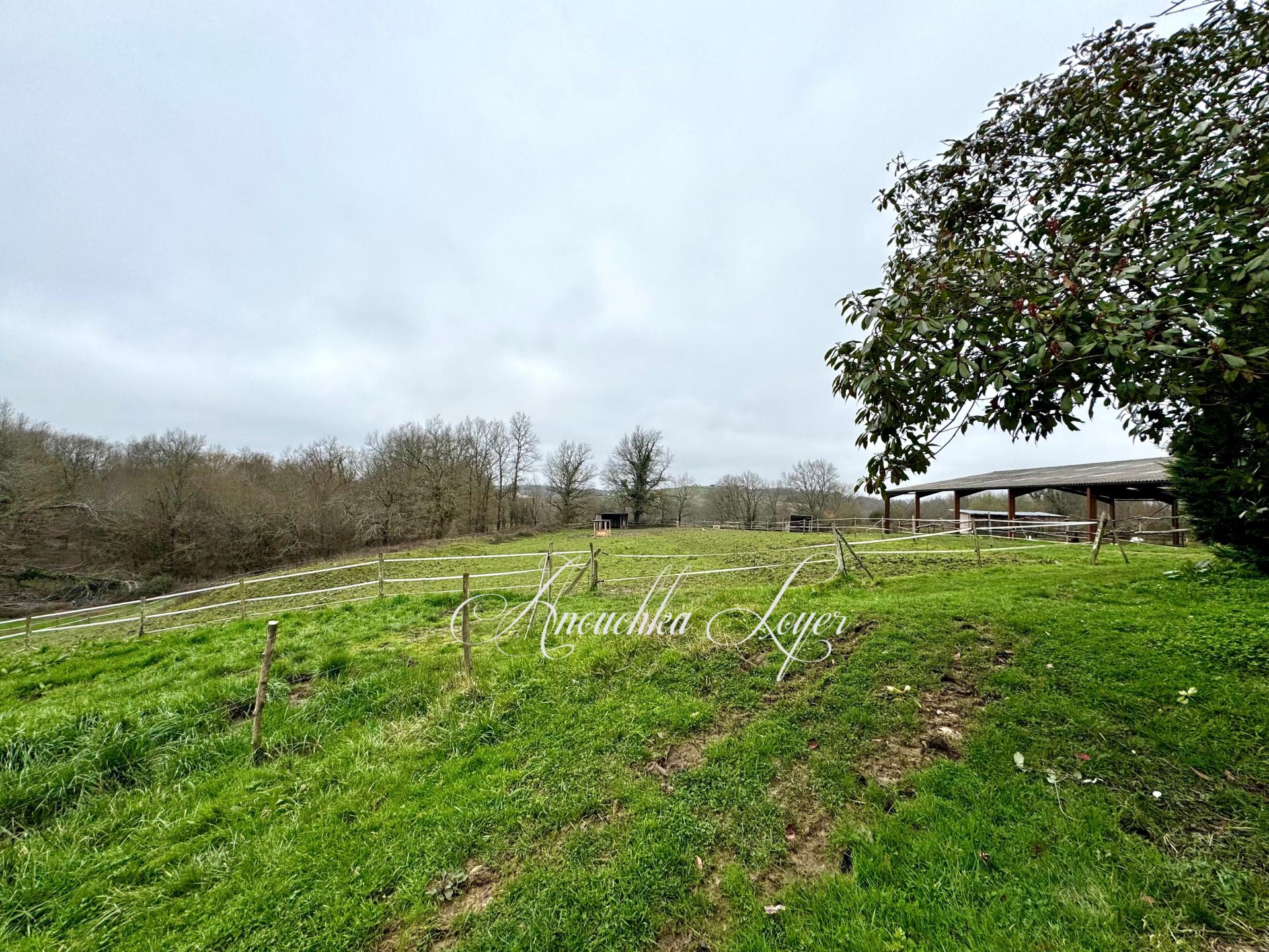 Photo 14 de l'annonce.