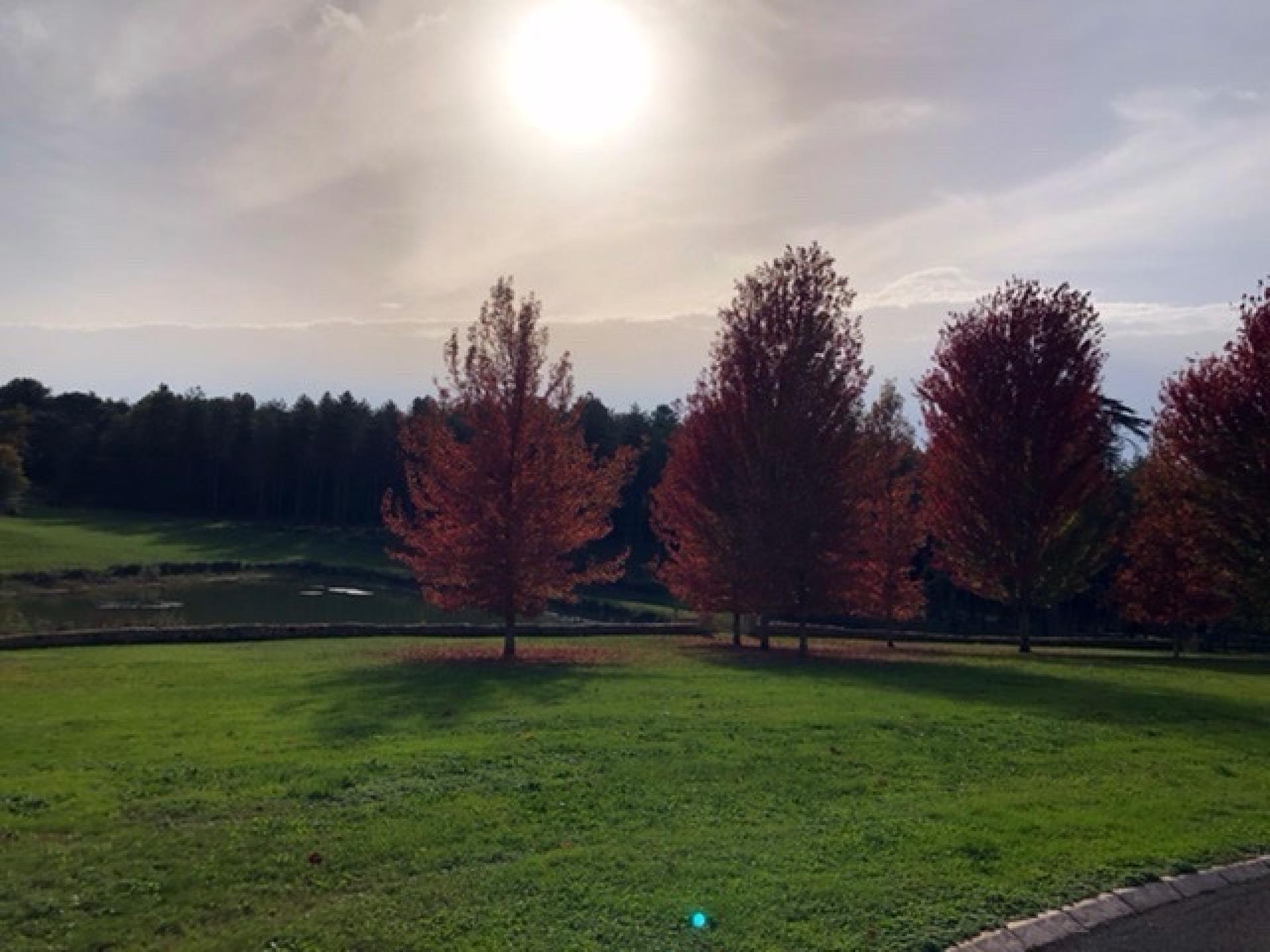 Photo 19 de l'annonce.