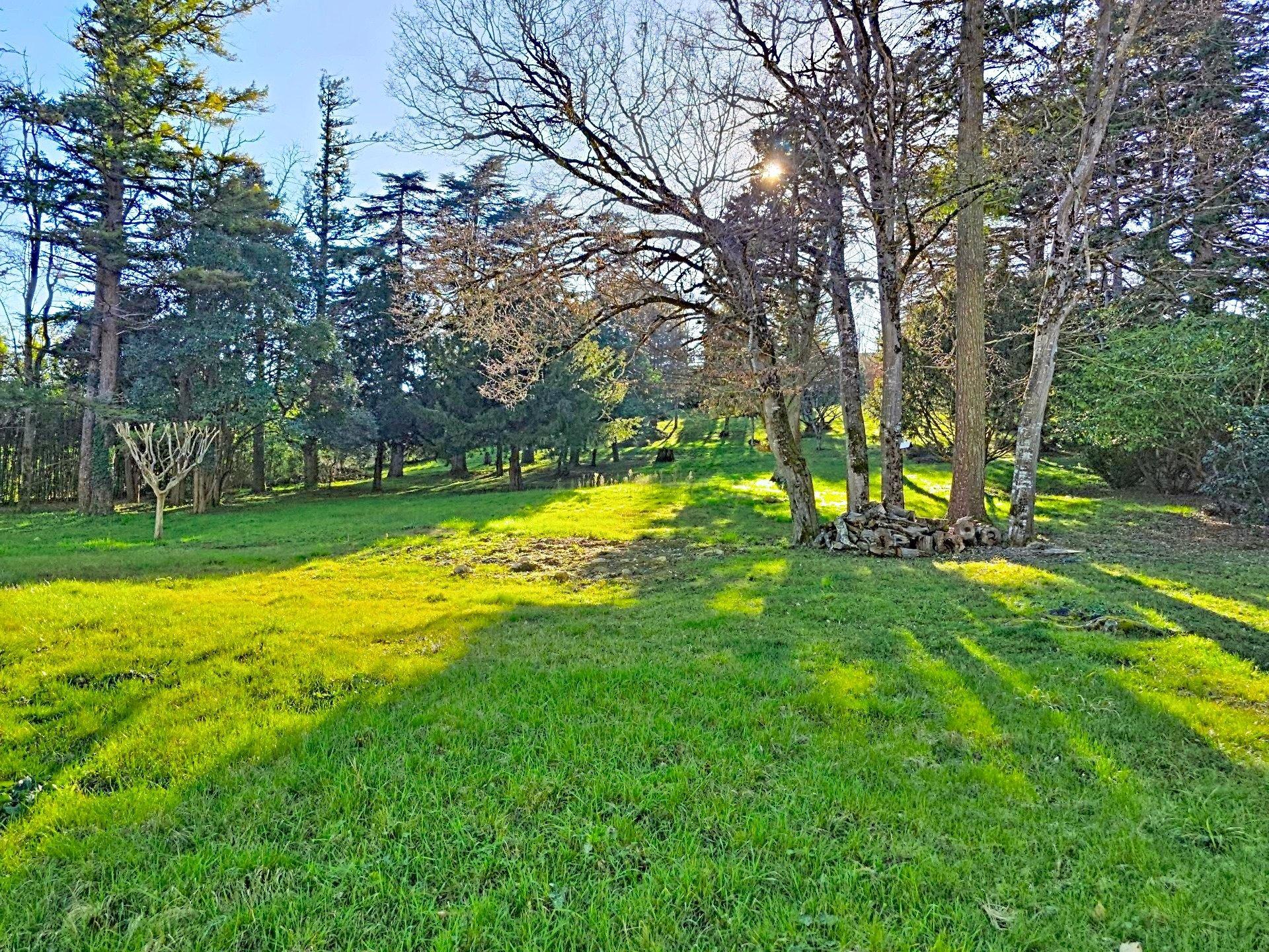 Photo 25 de l'annonce.