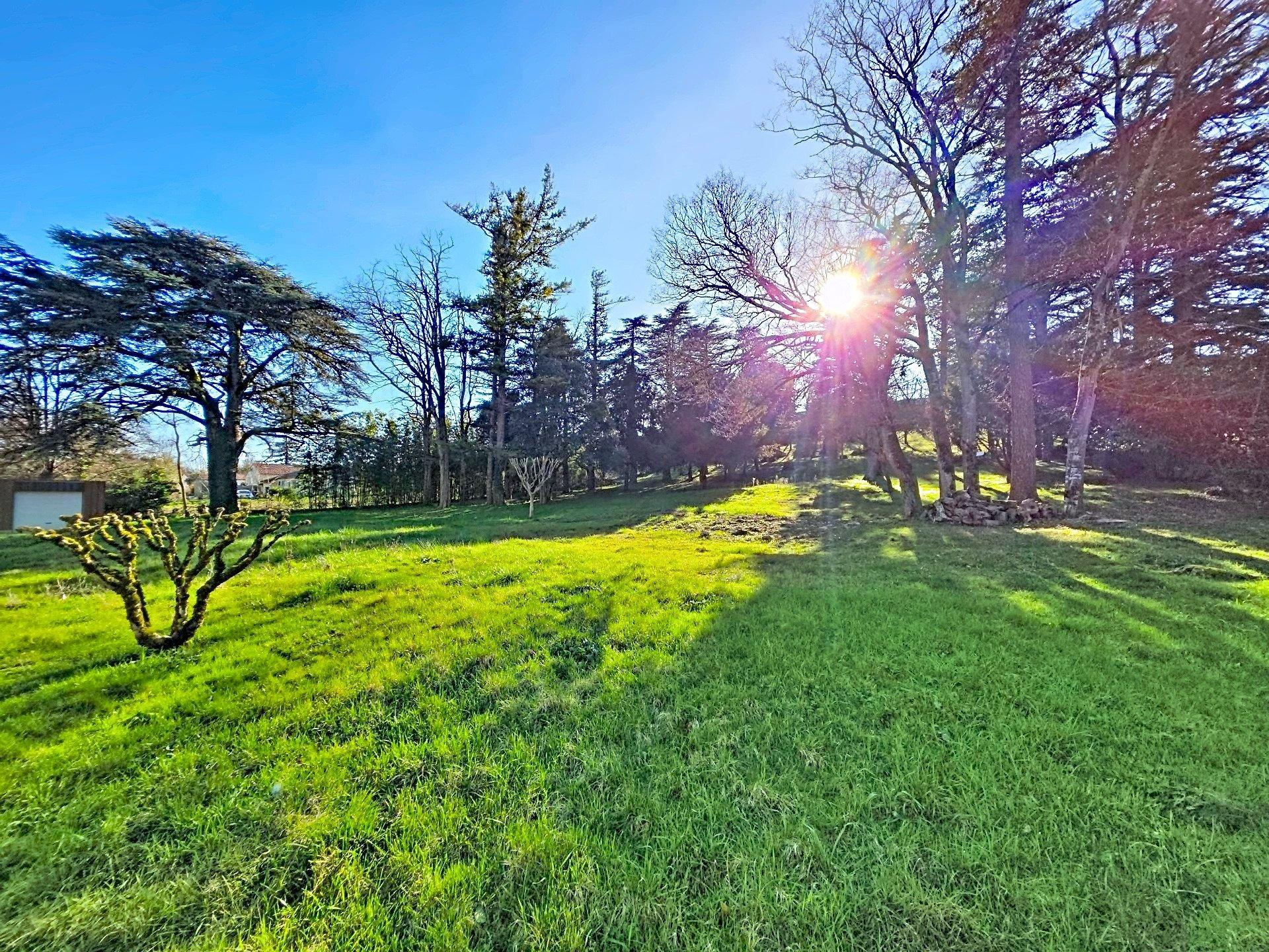 Photo 26 de l'annonce.