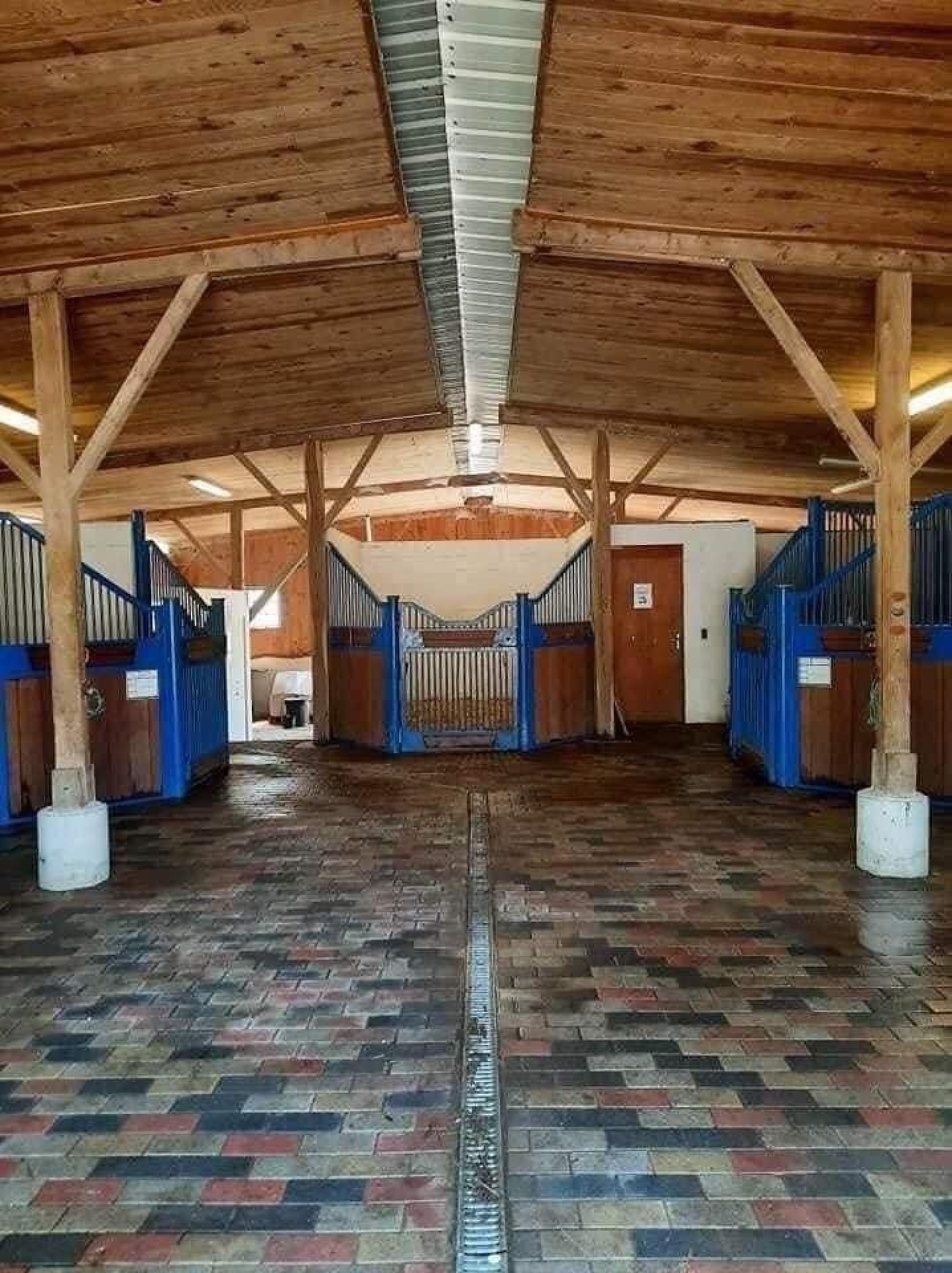 Photo 3 de l'annonce.