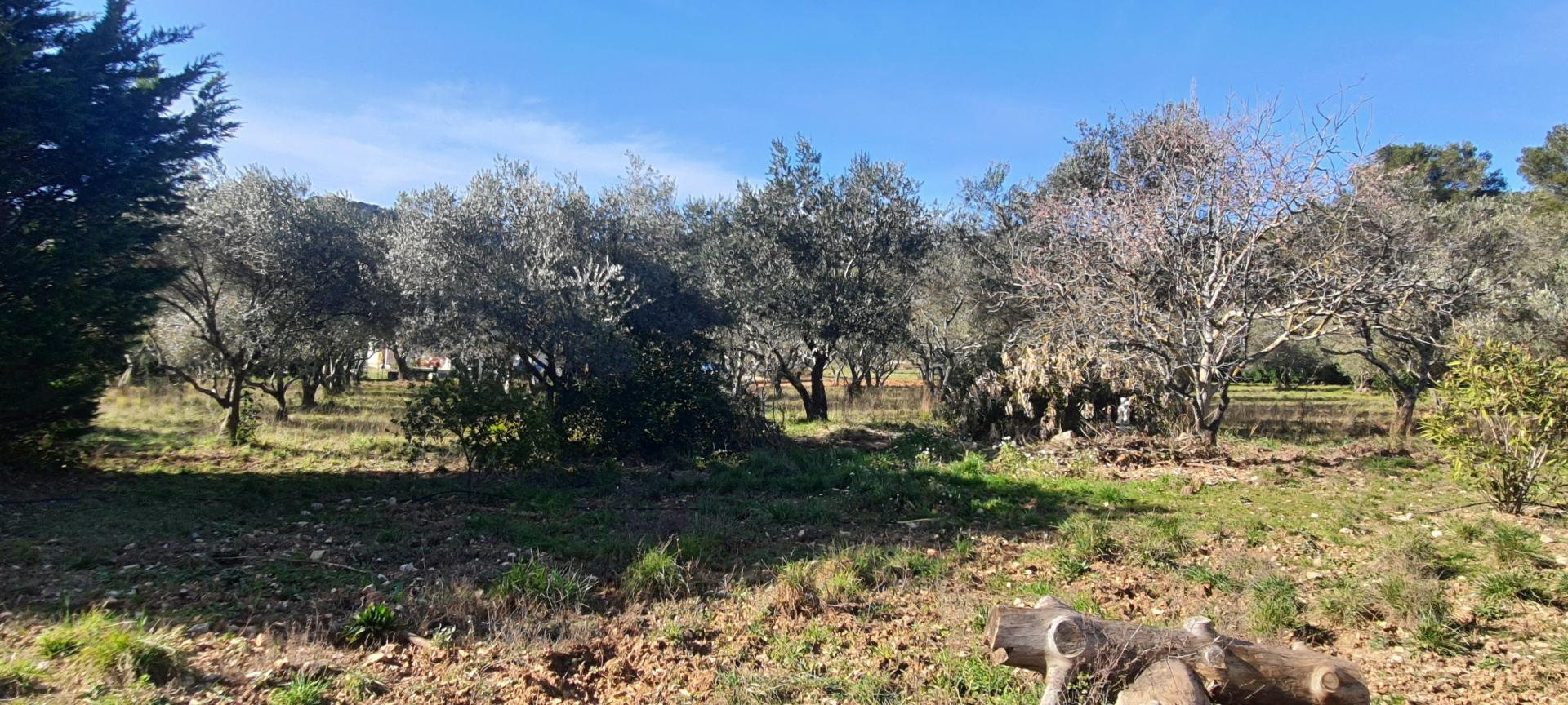 Photo 8 de l'annonce.