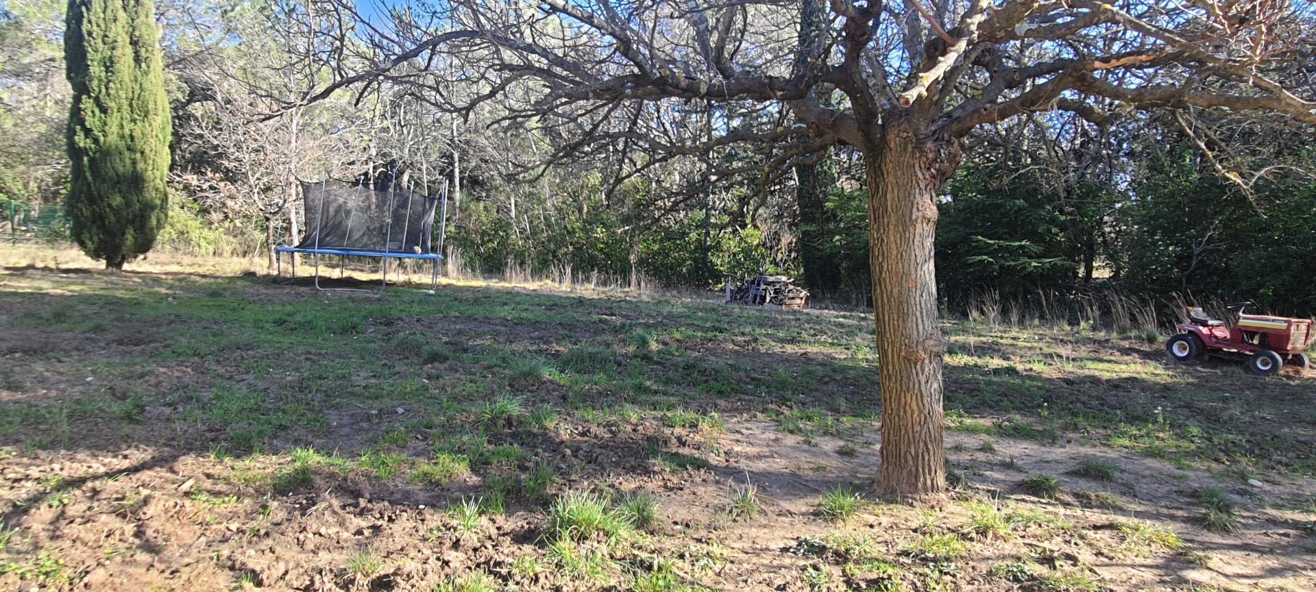 Photo 7 de l'annonce.