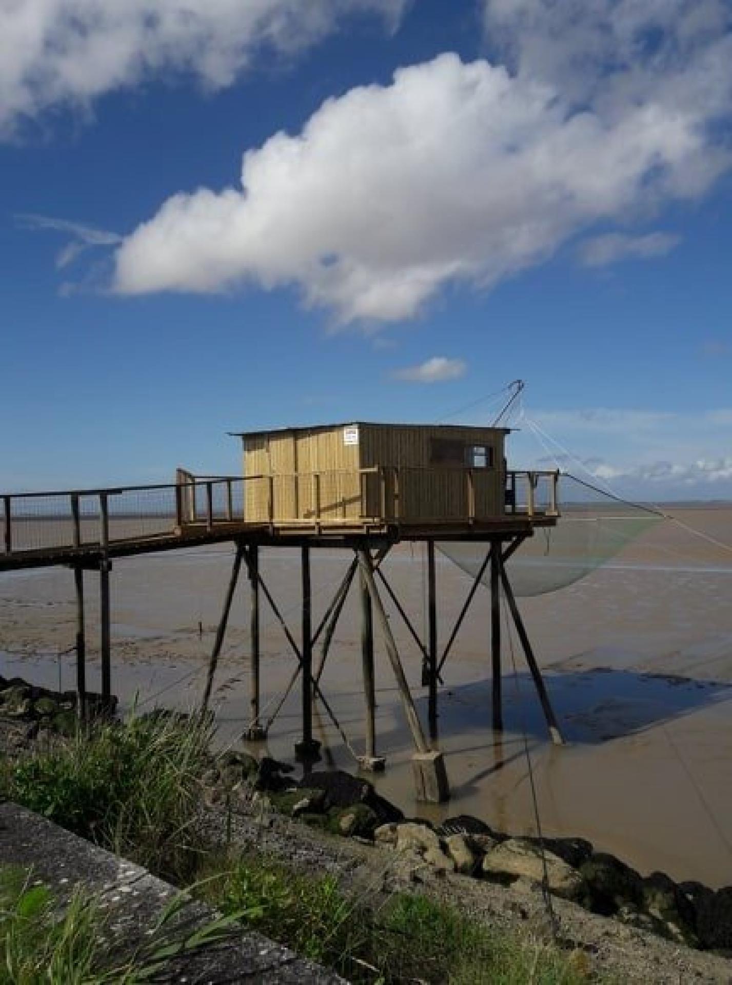 Photo 11 de l'annonce.