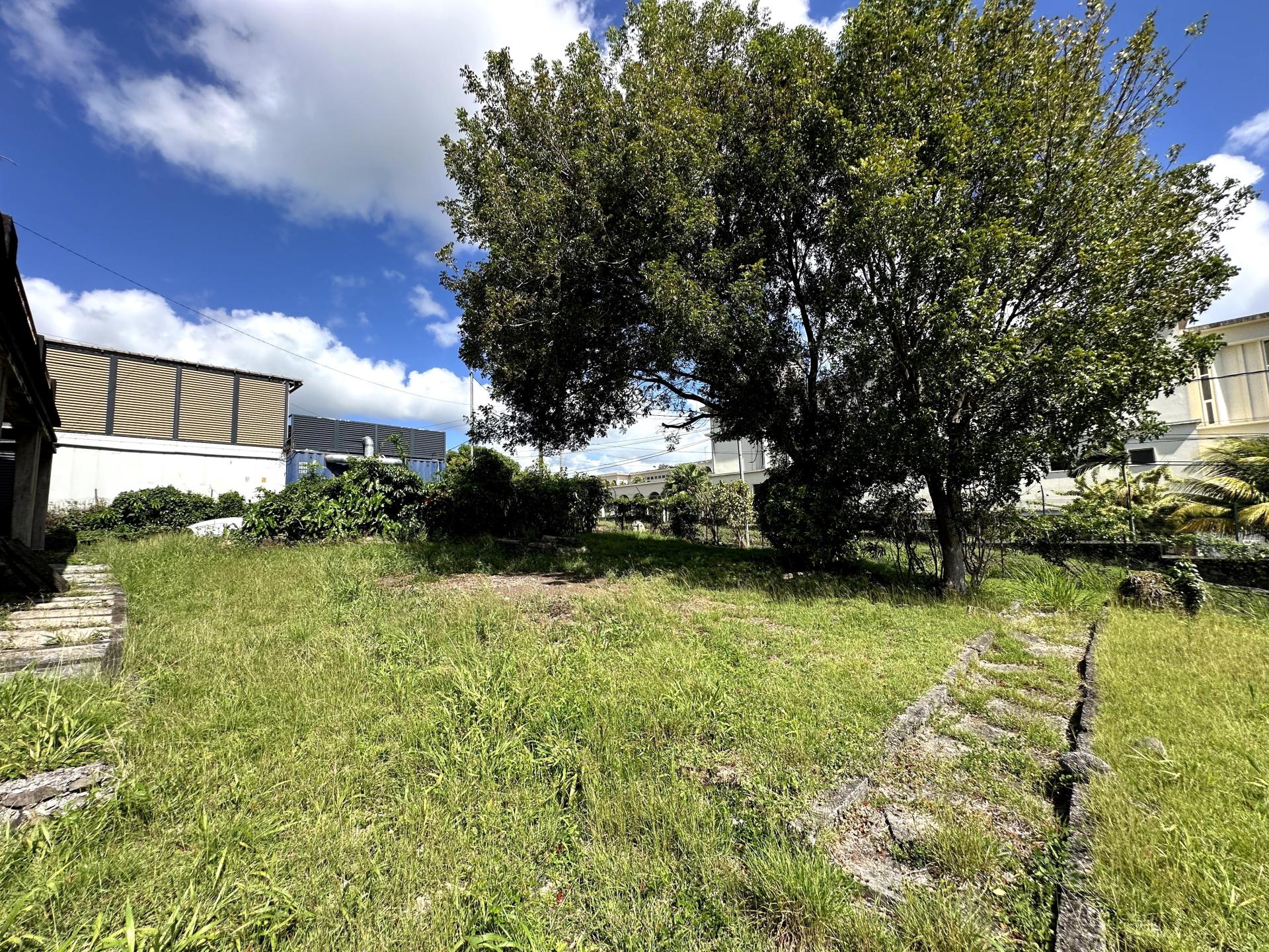 Photo 2 de l'annonce.