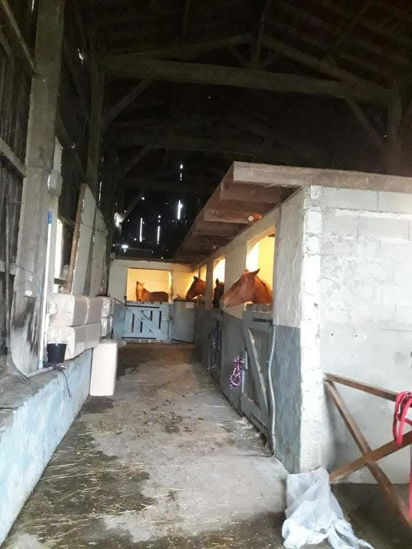 Photo 5 de l'annonce.