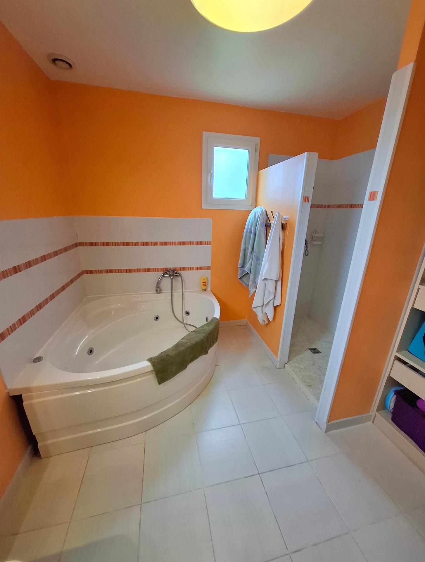 Photo 11 de l'annonce.