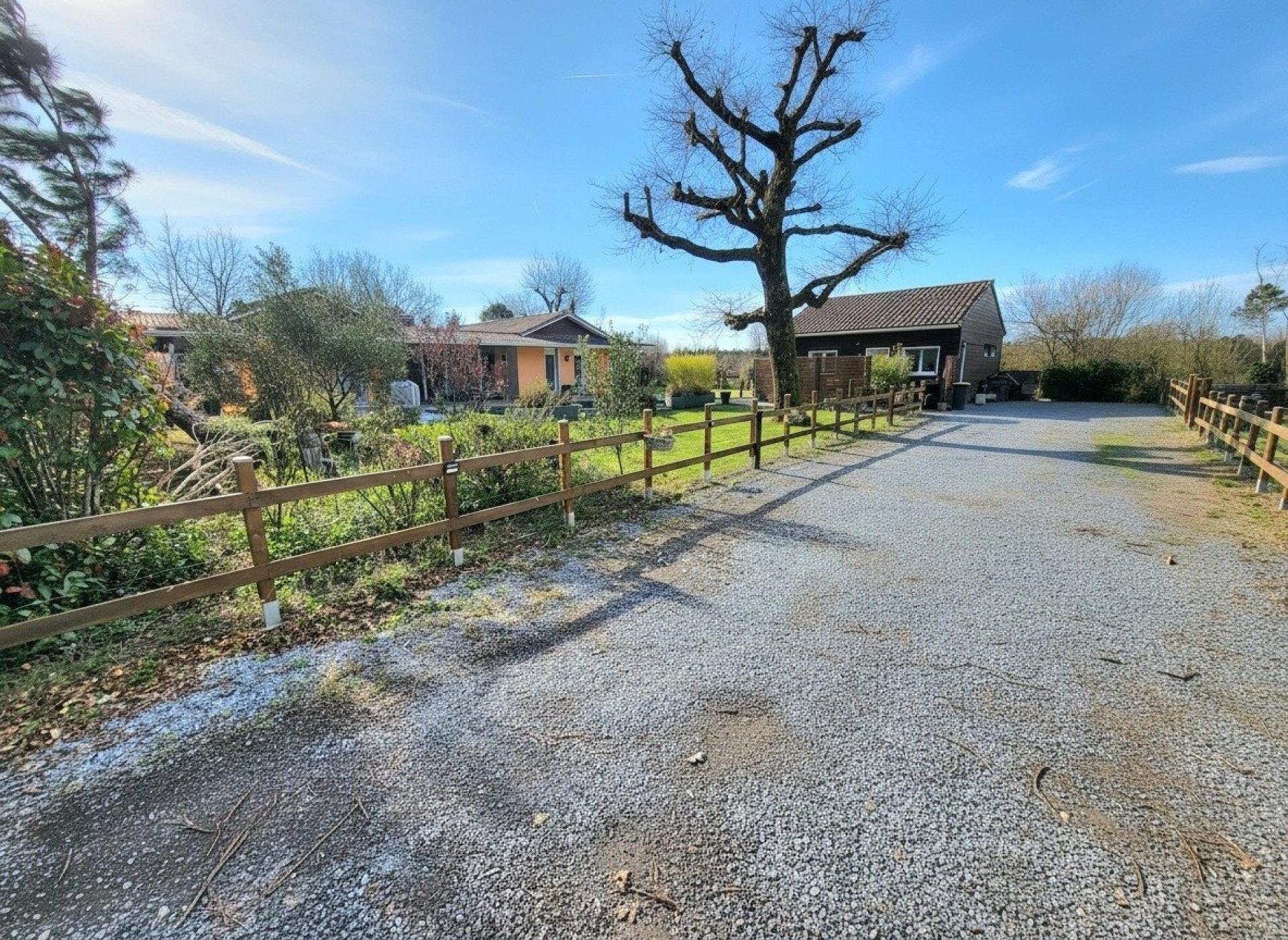 Photo 15 de l'annonce.