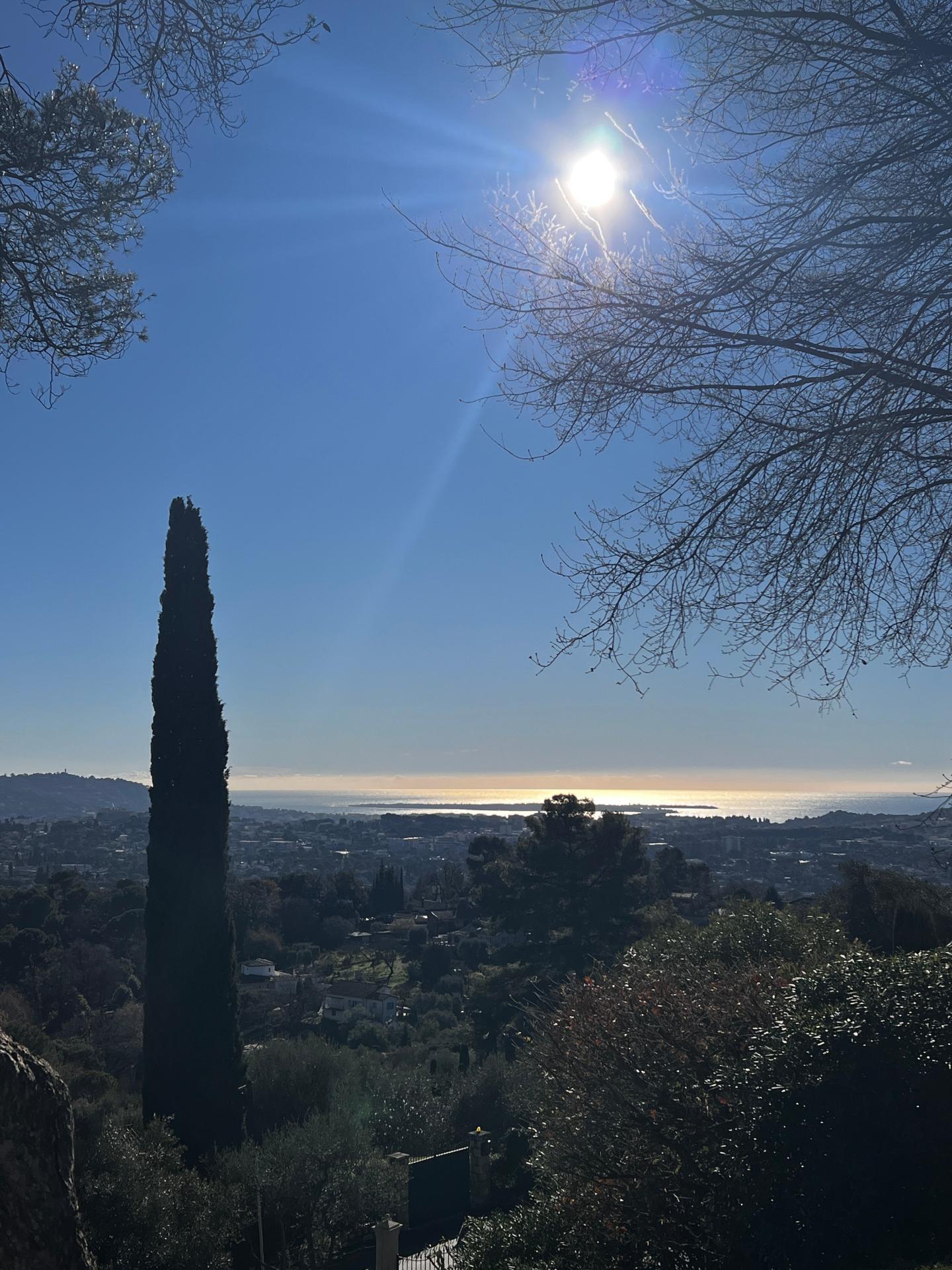 Photo 2 de l'annonce.