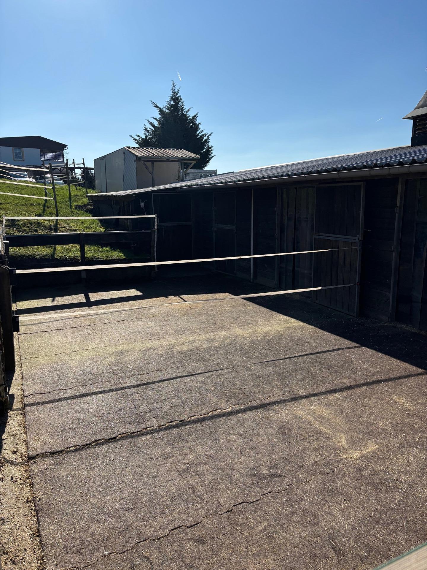 Photo 11 of the listing.