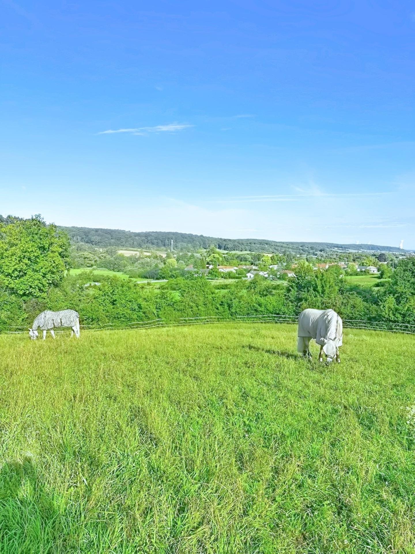 Photo 17 of the listing.