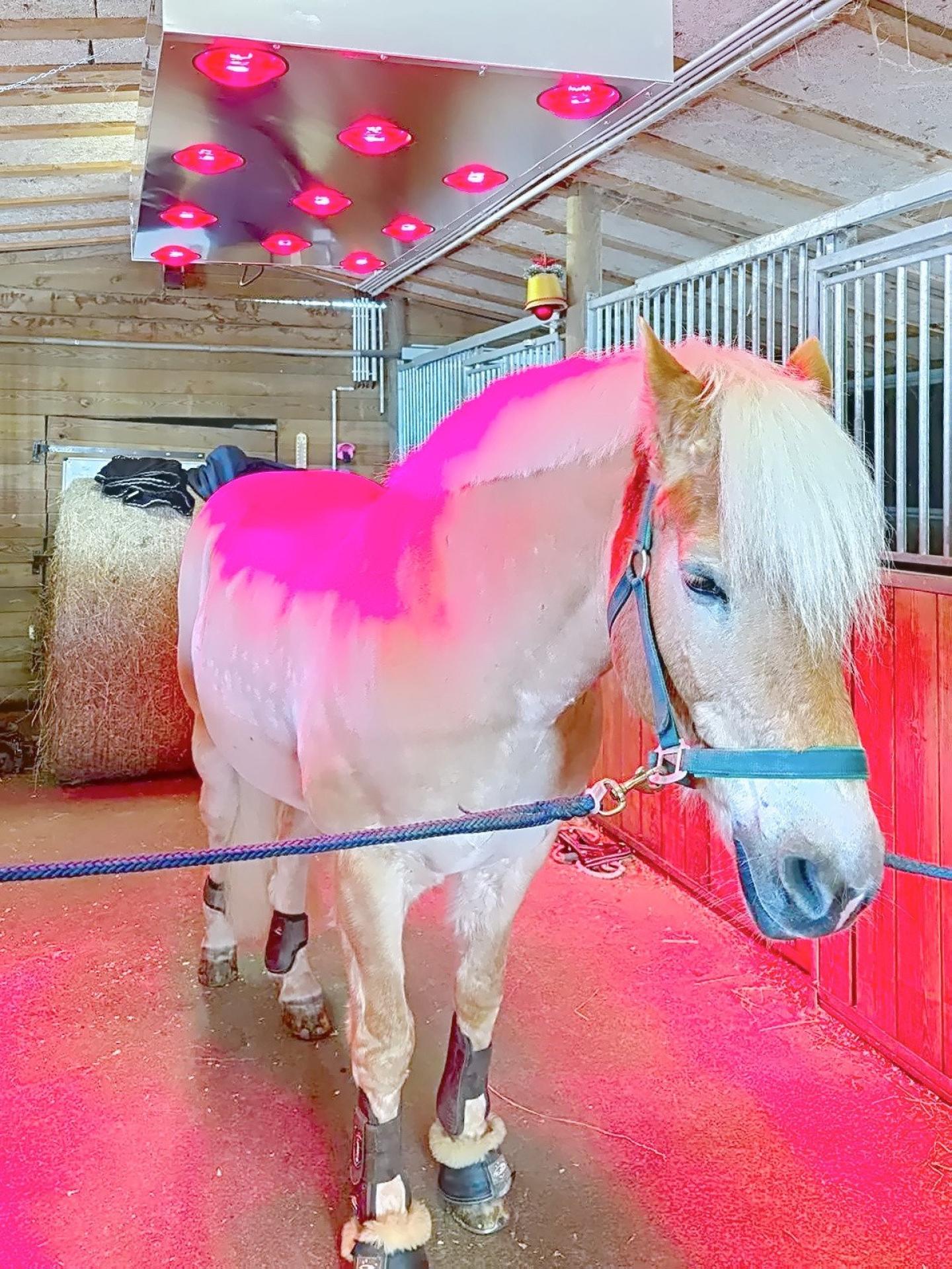 Photo 16 of the listing.