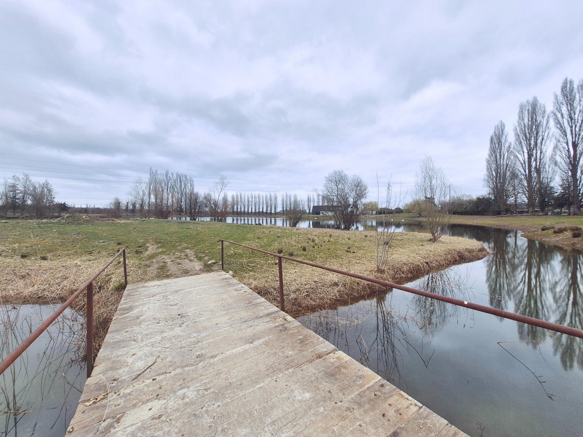 Photo 19 of the listing.