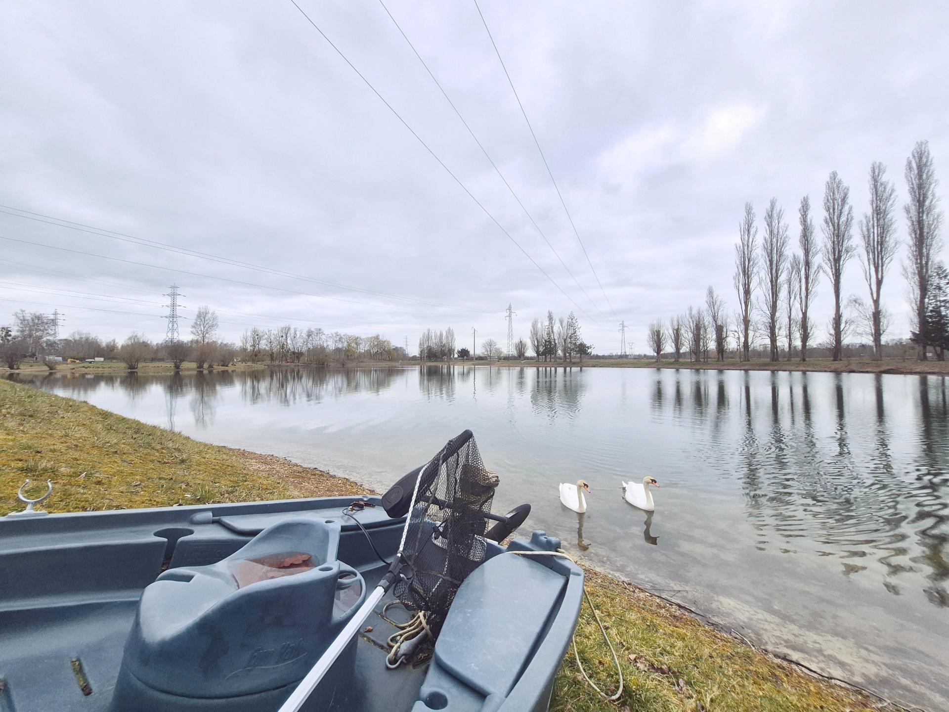 Photo 18 of the listing.