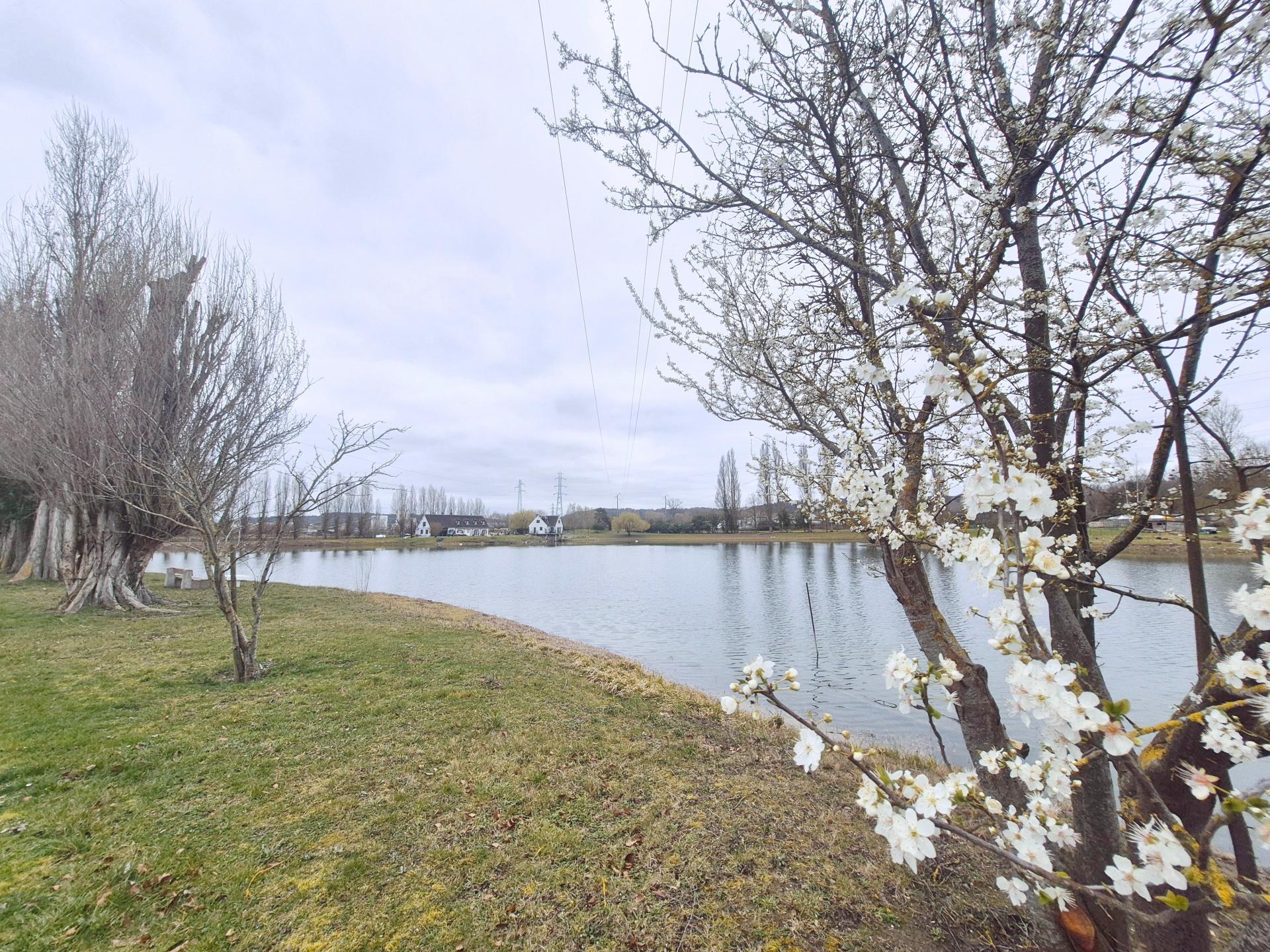 Photo 21 of the listing.