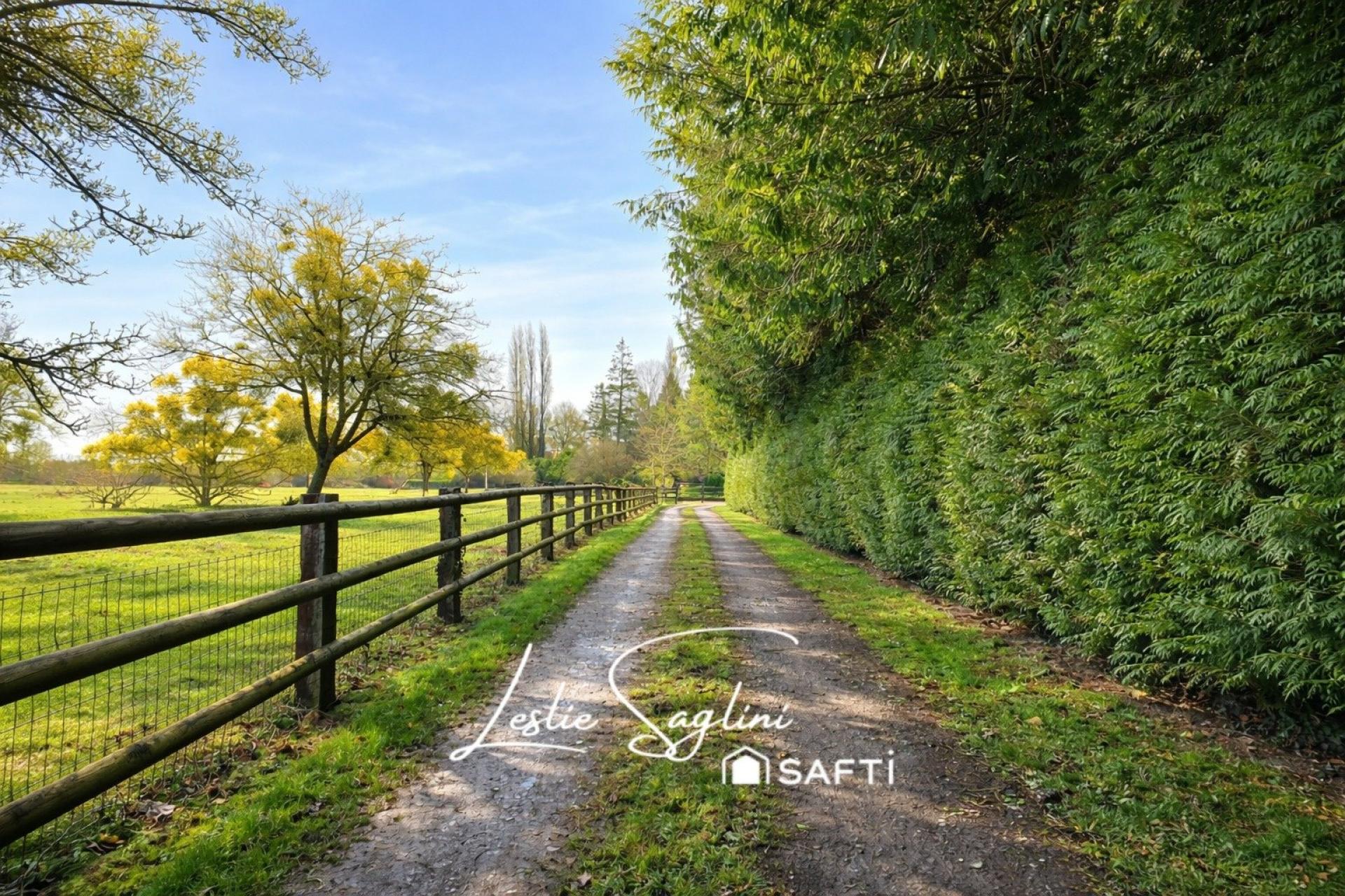 Photo 18 de l'annonce.