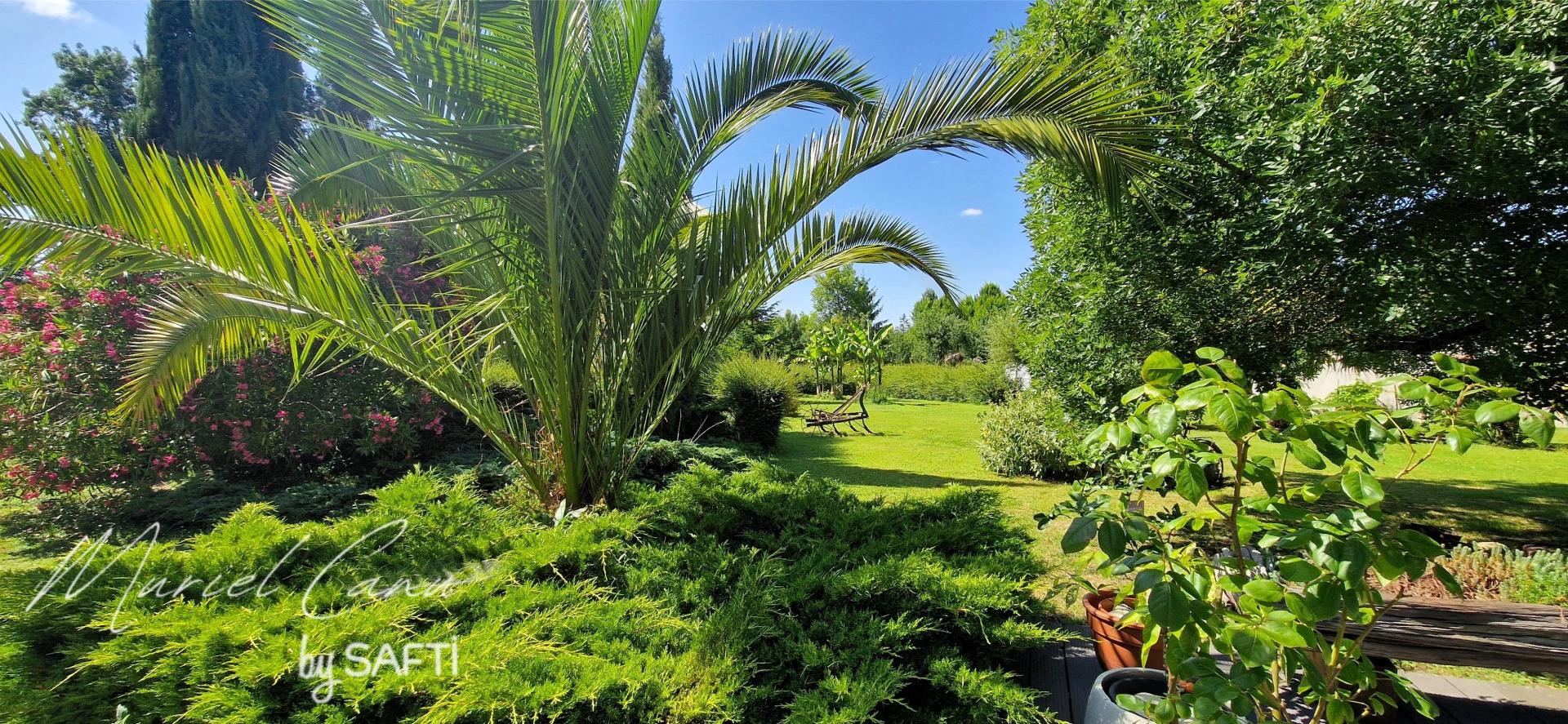 Photo 19 de l'annonce.