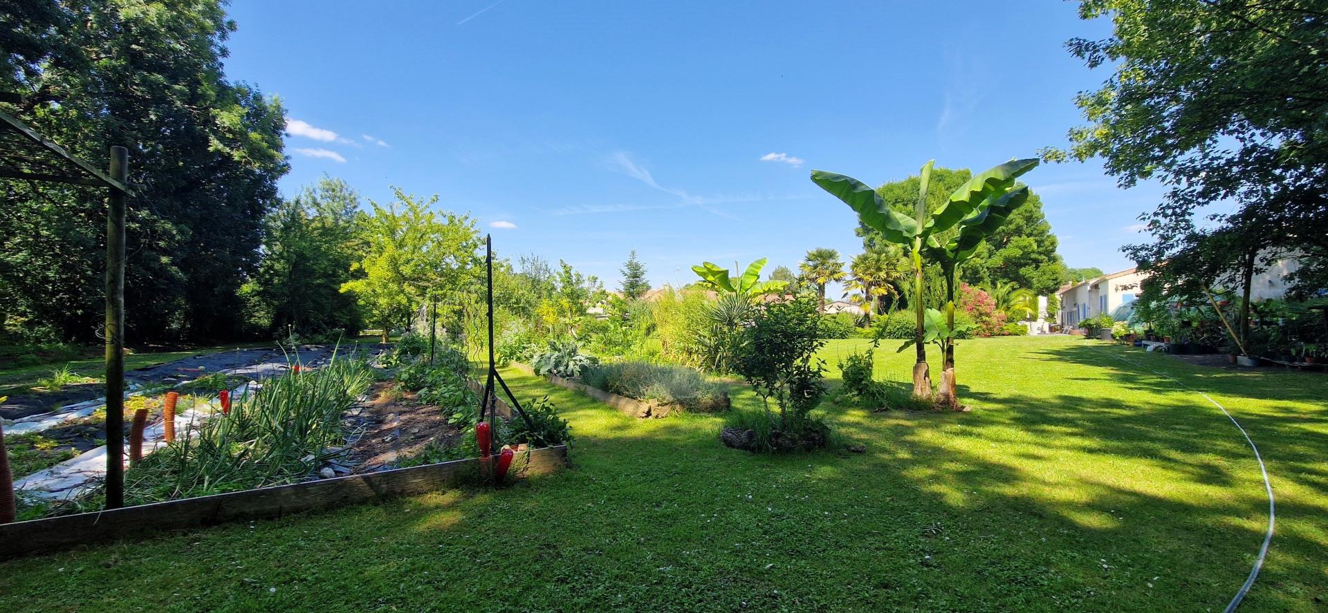 Photo 14 de l'annonce.